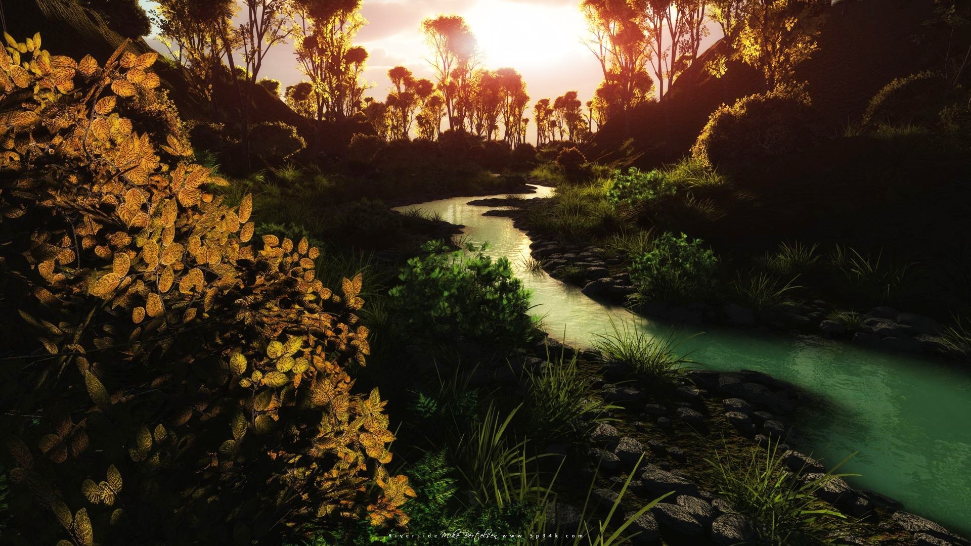 River flowing through a sunlit forest with autumn leaves HD Wallpaper