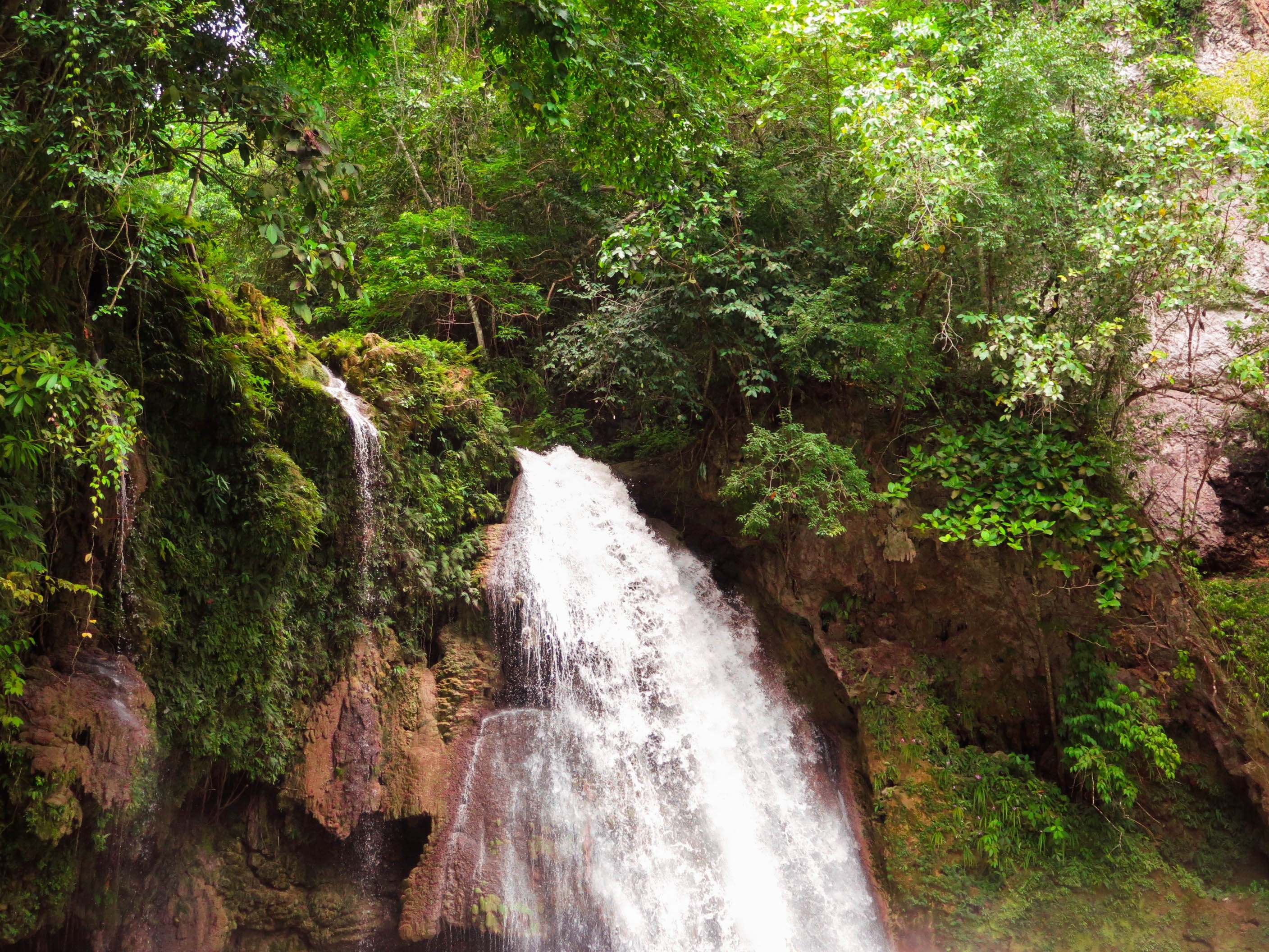 Waterfall cascading through a lush green jungle HD Wallpaper