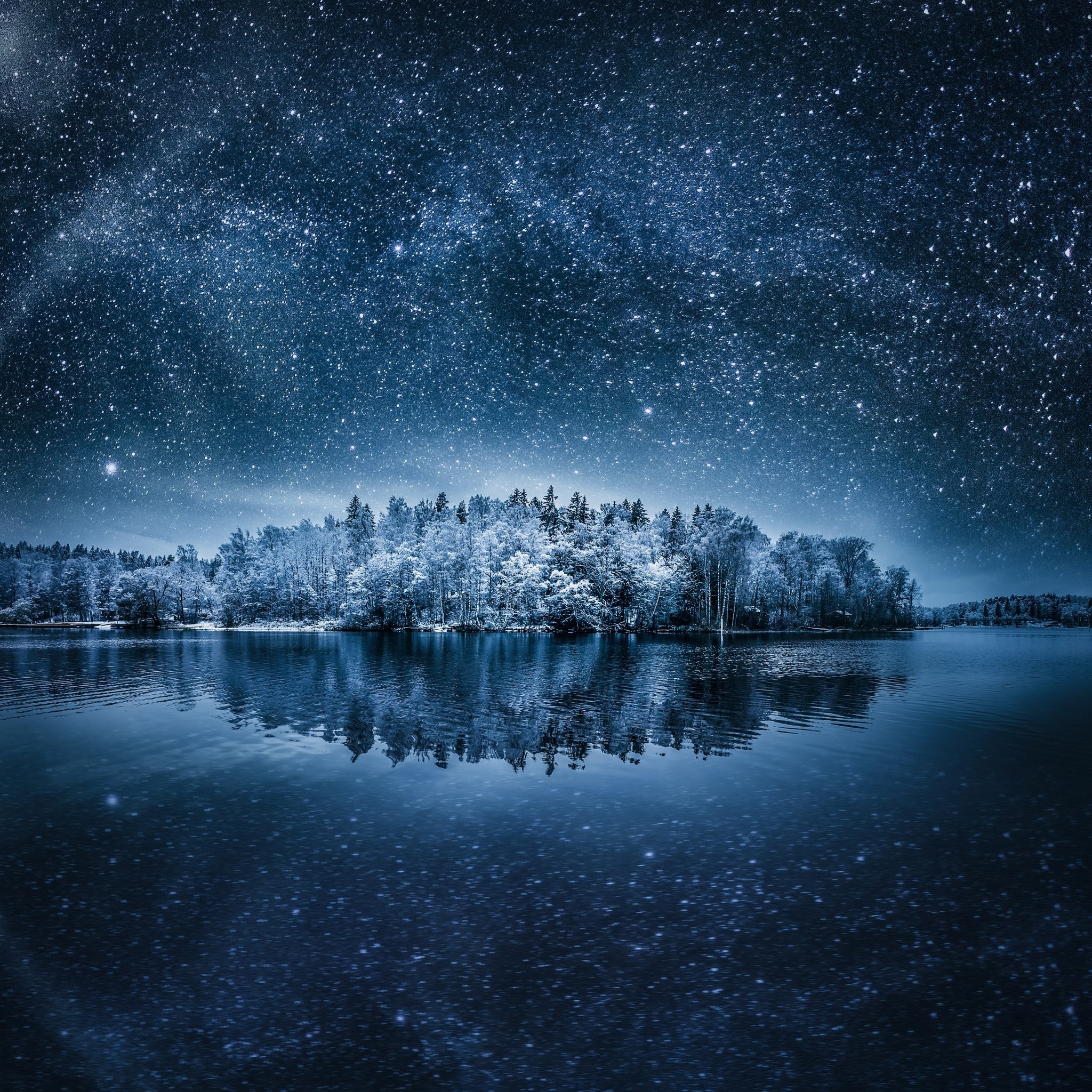 Winter forest reflected in a lake under a starry sky HD Wallpaper