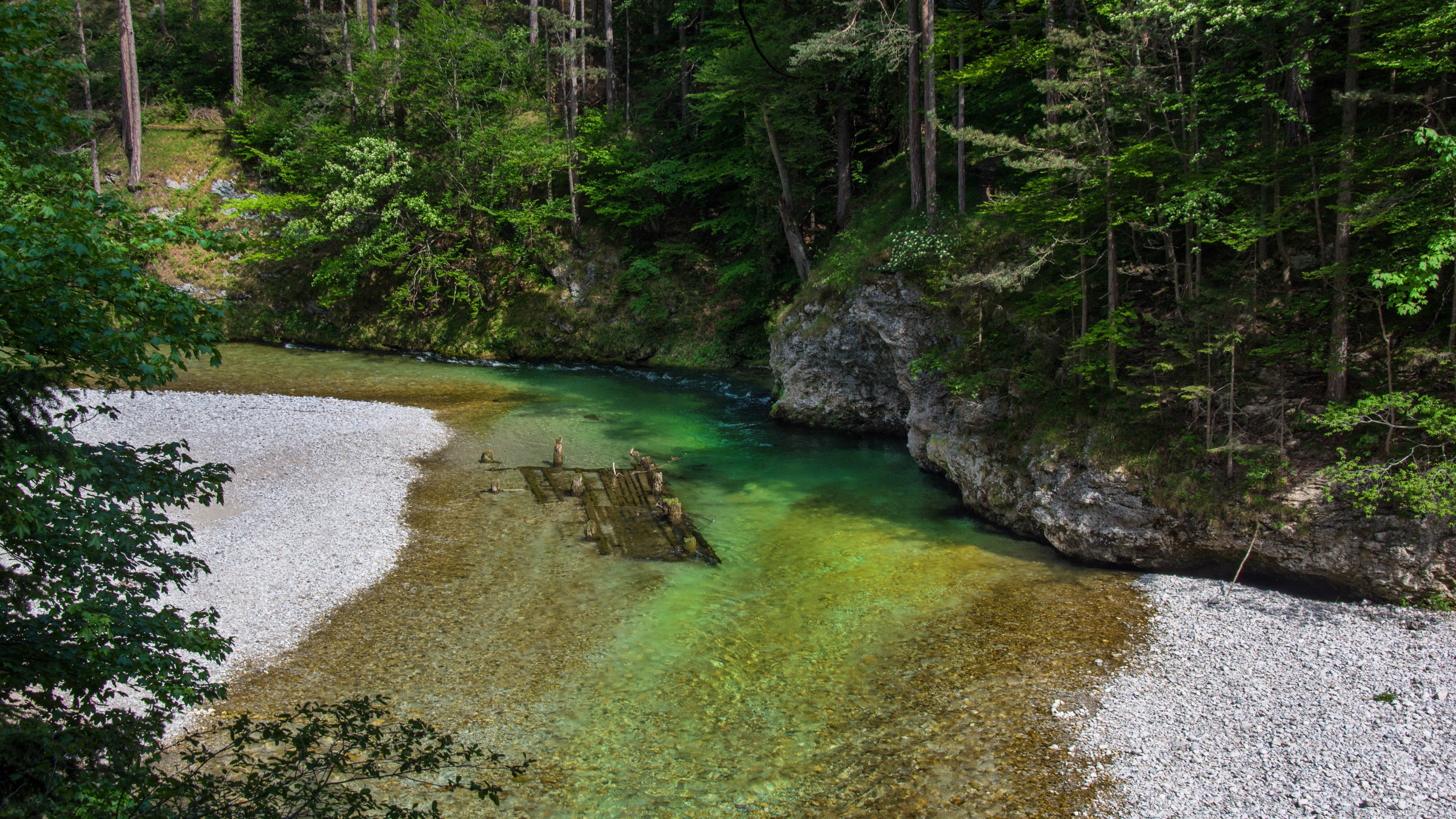 Serene Forest River with Clear Water and Rocky Banks HD Wallpaper