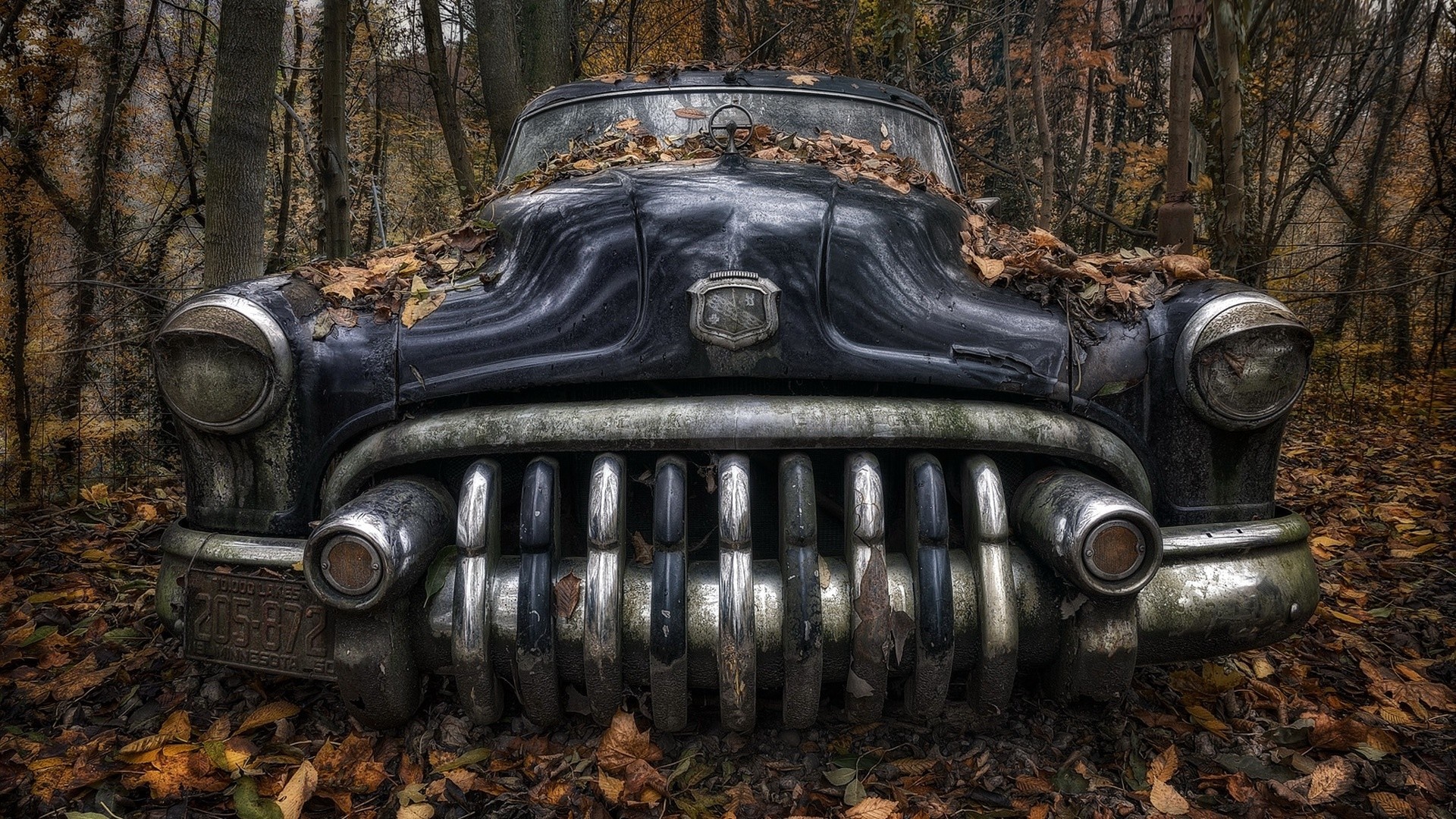 Abandoned vintage car covered in leaves in a forest HD Wallpaper