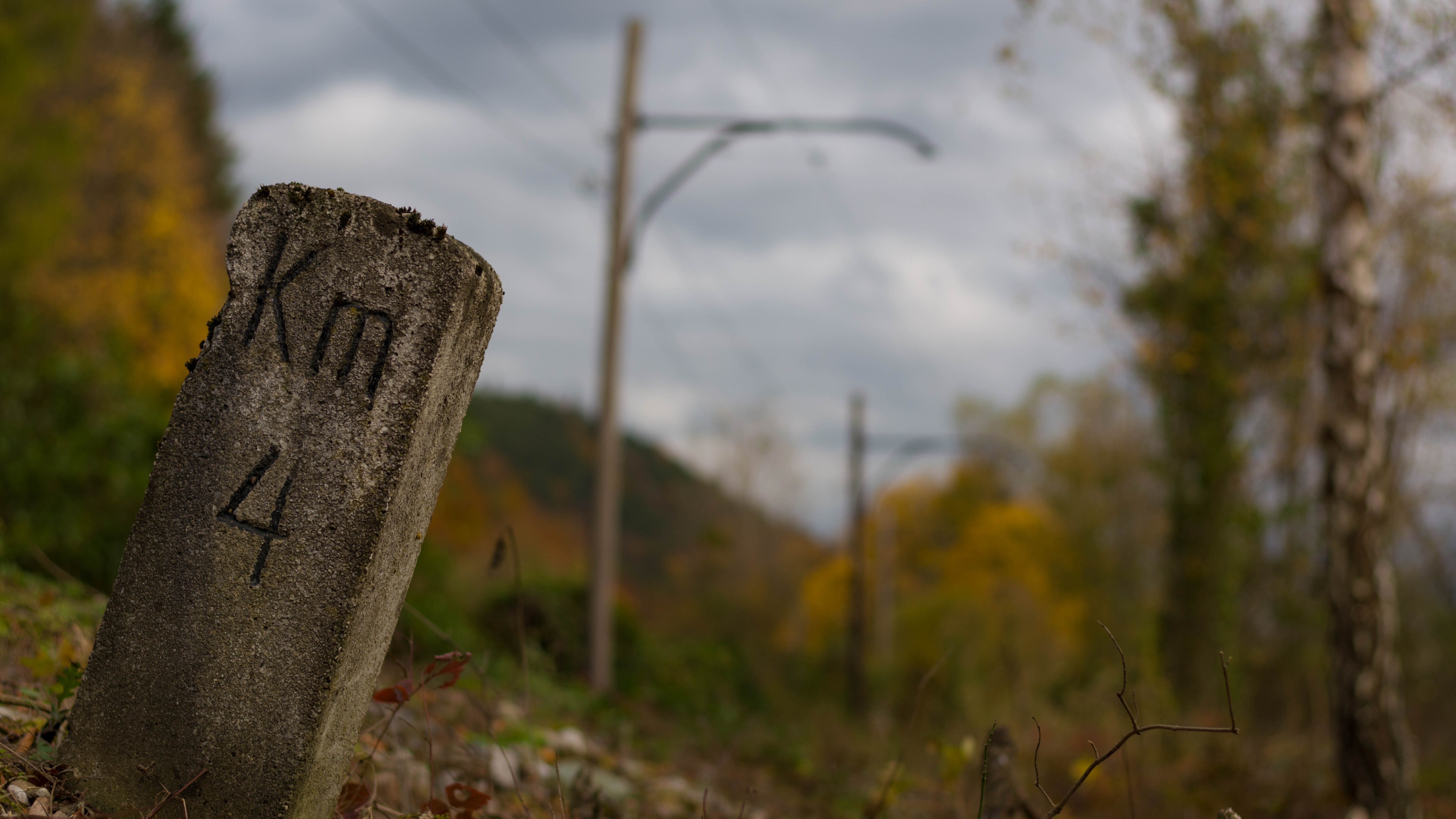 Km 4 marker in autumn forest HD Wallpaper