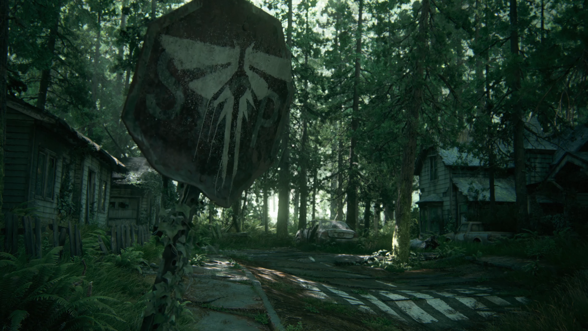 The Last of Us Part 2 Forest Path with Overgrown Stop Sign HD Wallpaper