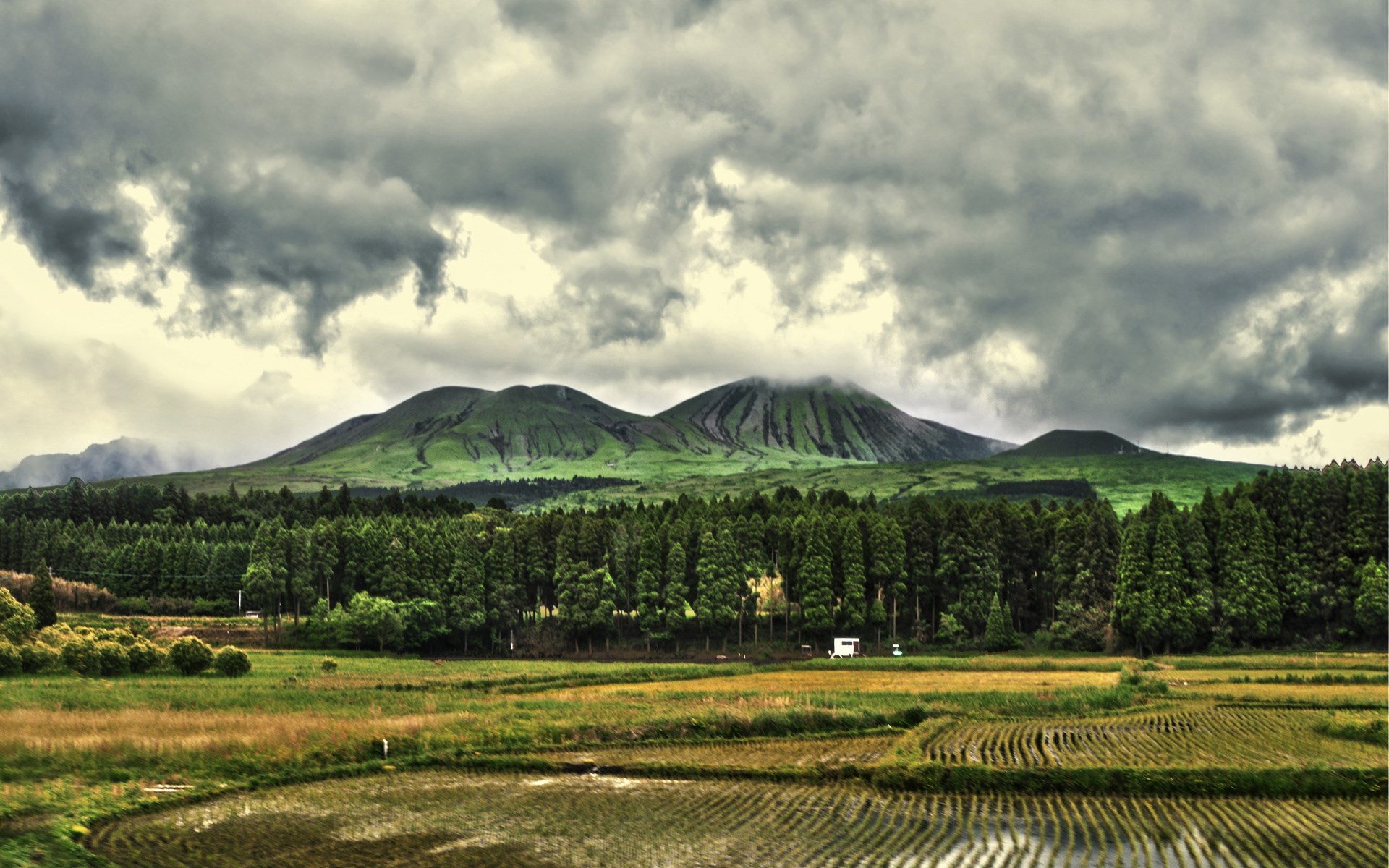 Volcanic landscape with rice paddies and forest HD Wallpaper