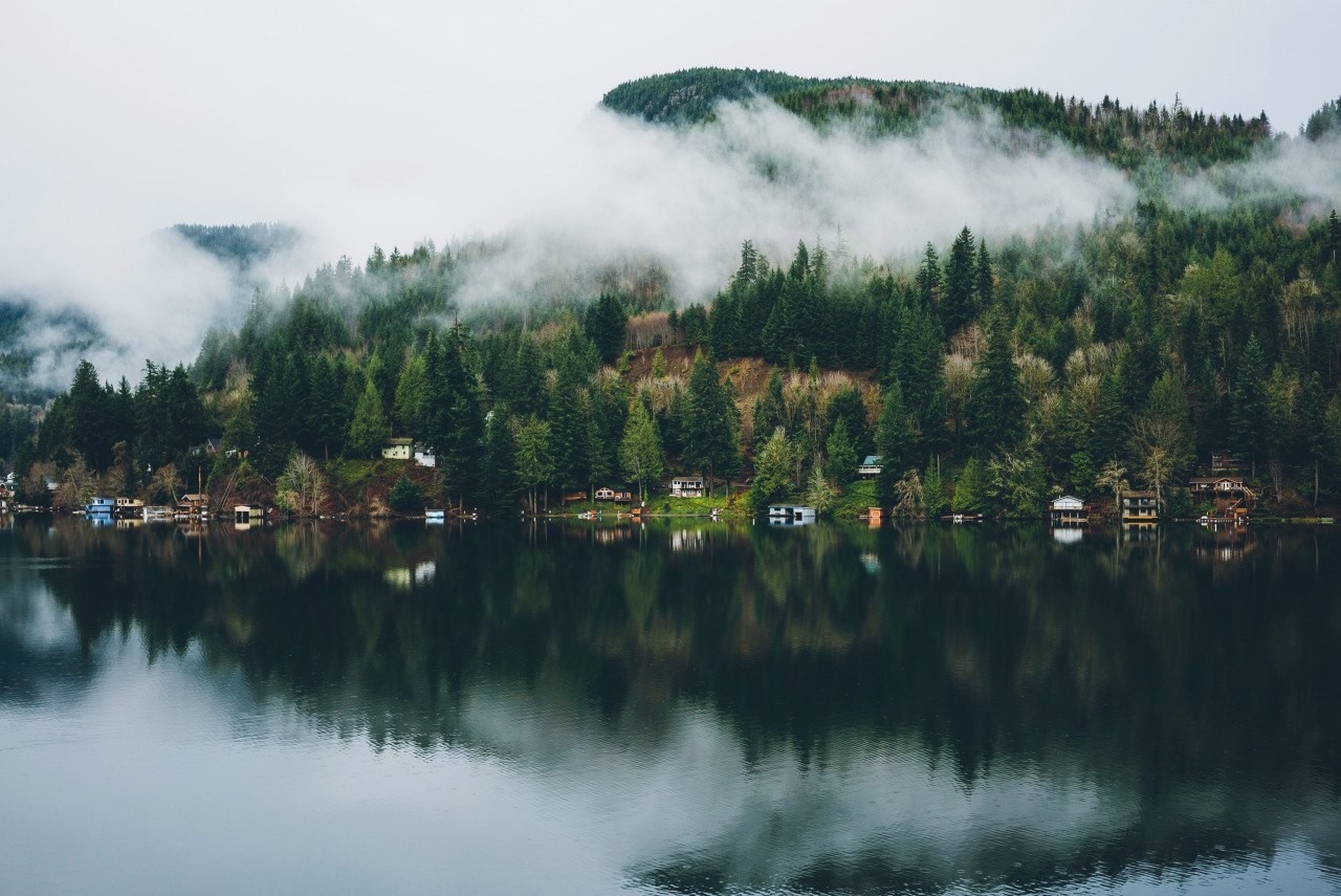 Misty forest reflecting on a calm lake with houses HD Wallpaper