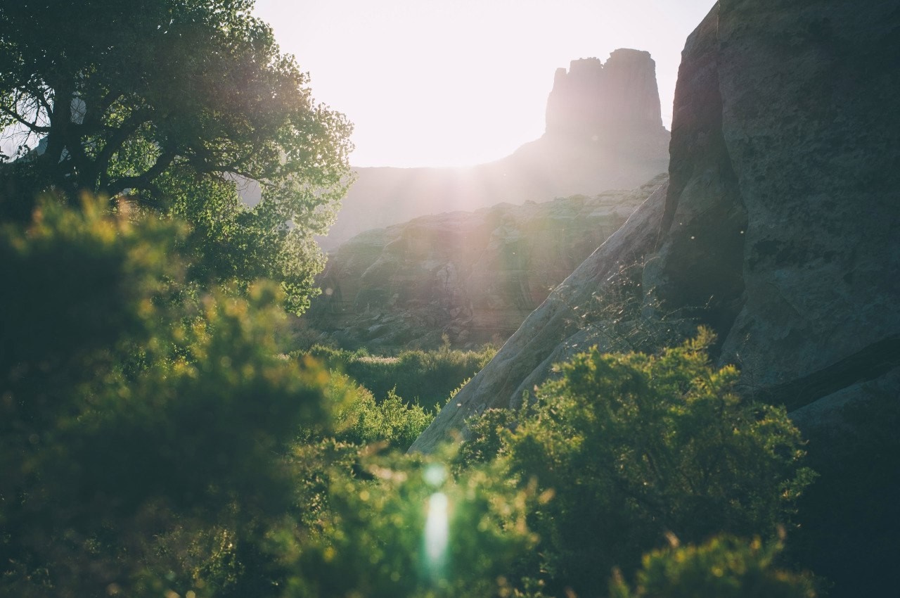 Sunlight filtering through trees in a rocky landscape HD Wallpaper
