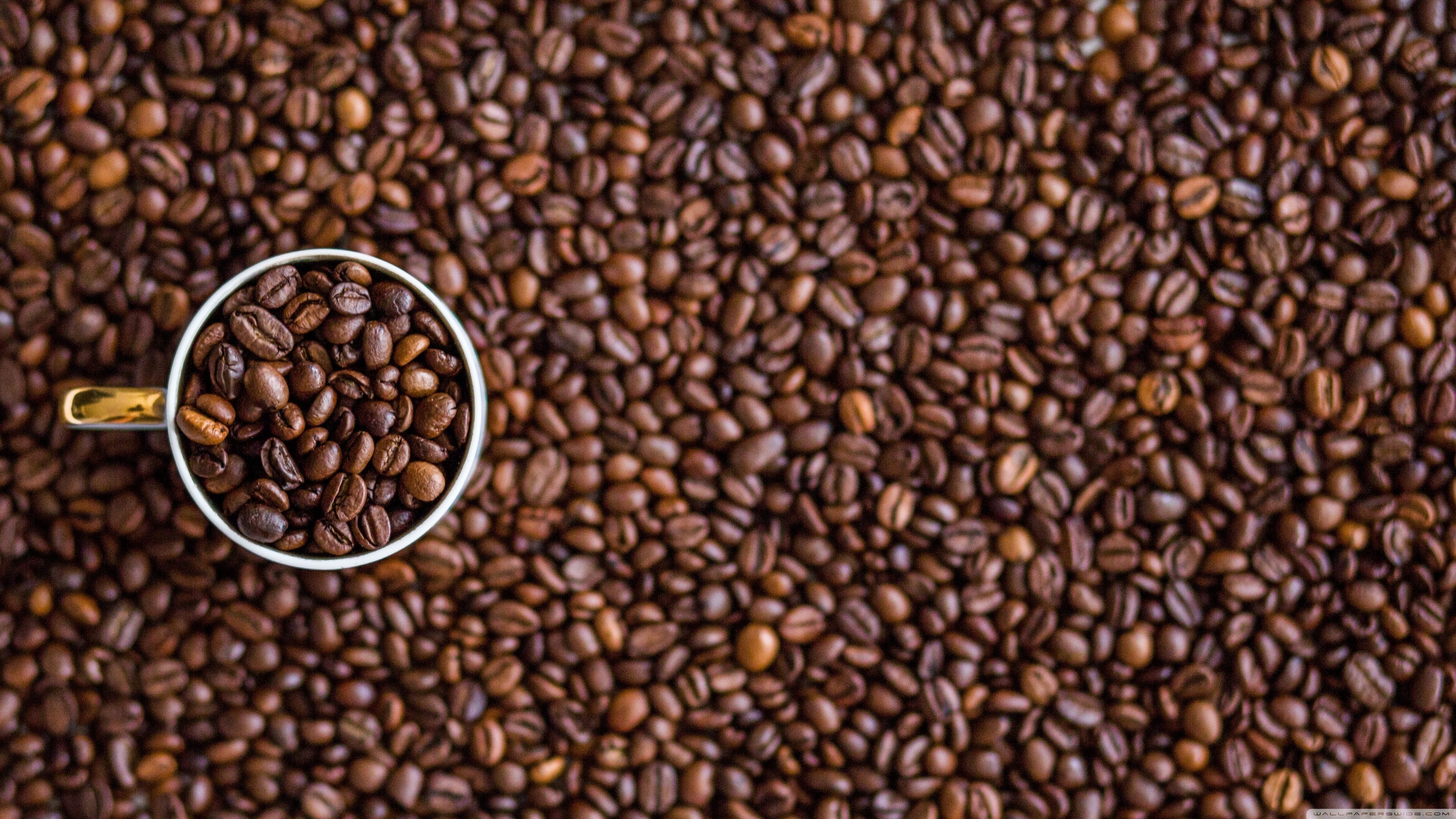 Coffee beans in a cup and background HD Wallpaper