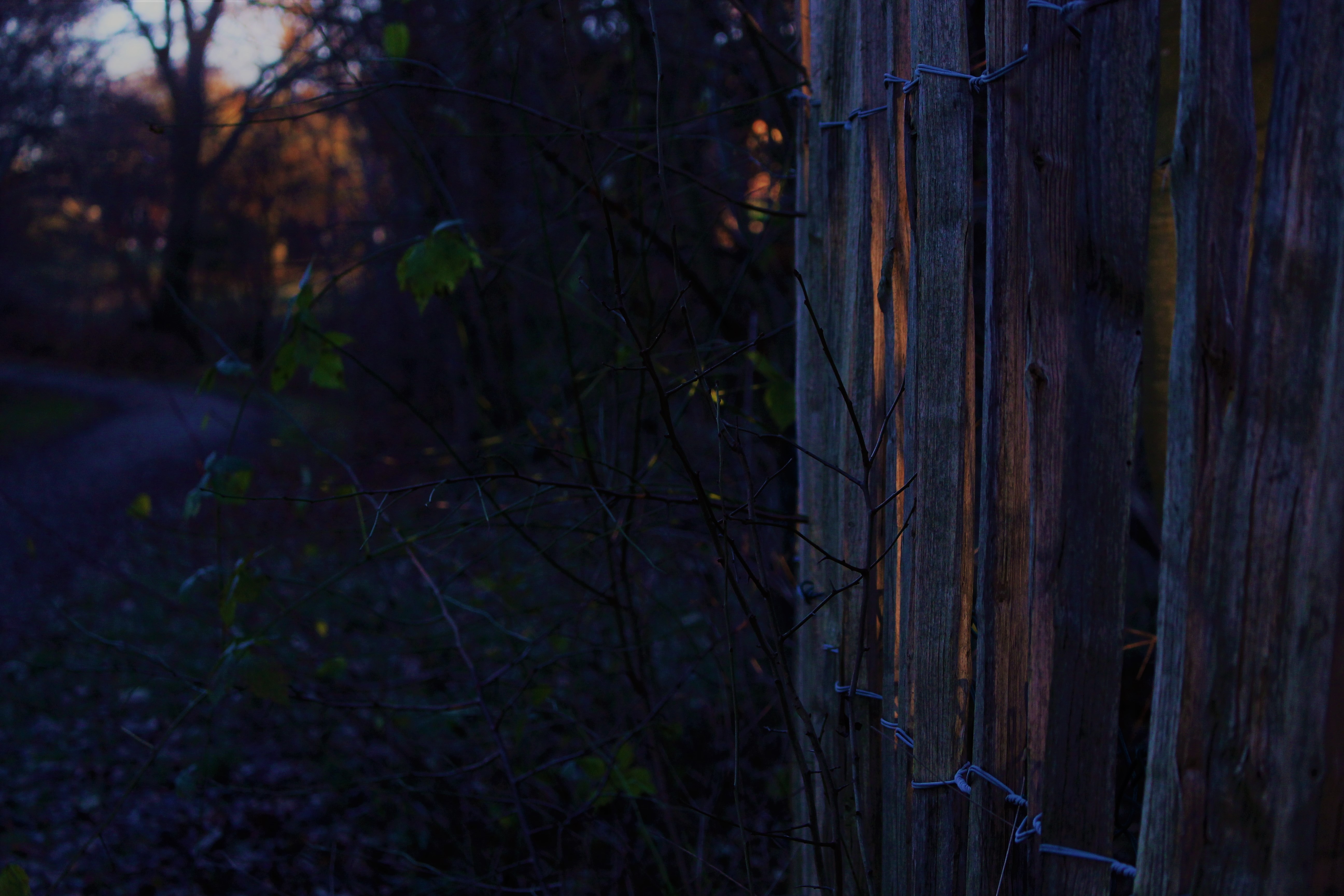 Wooden fence with sunlight at dusk HD Wallpaper