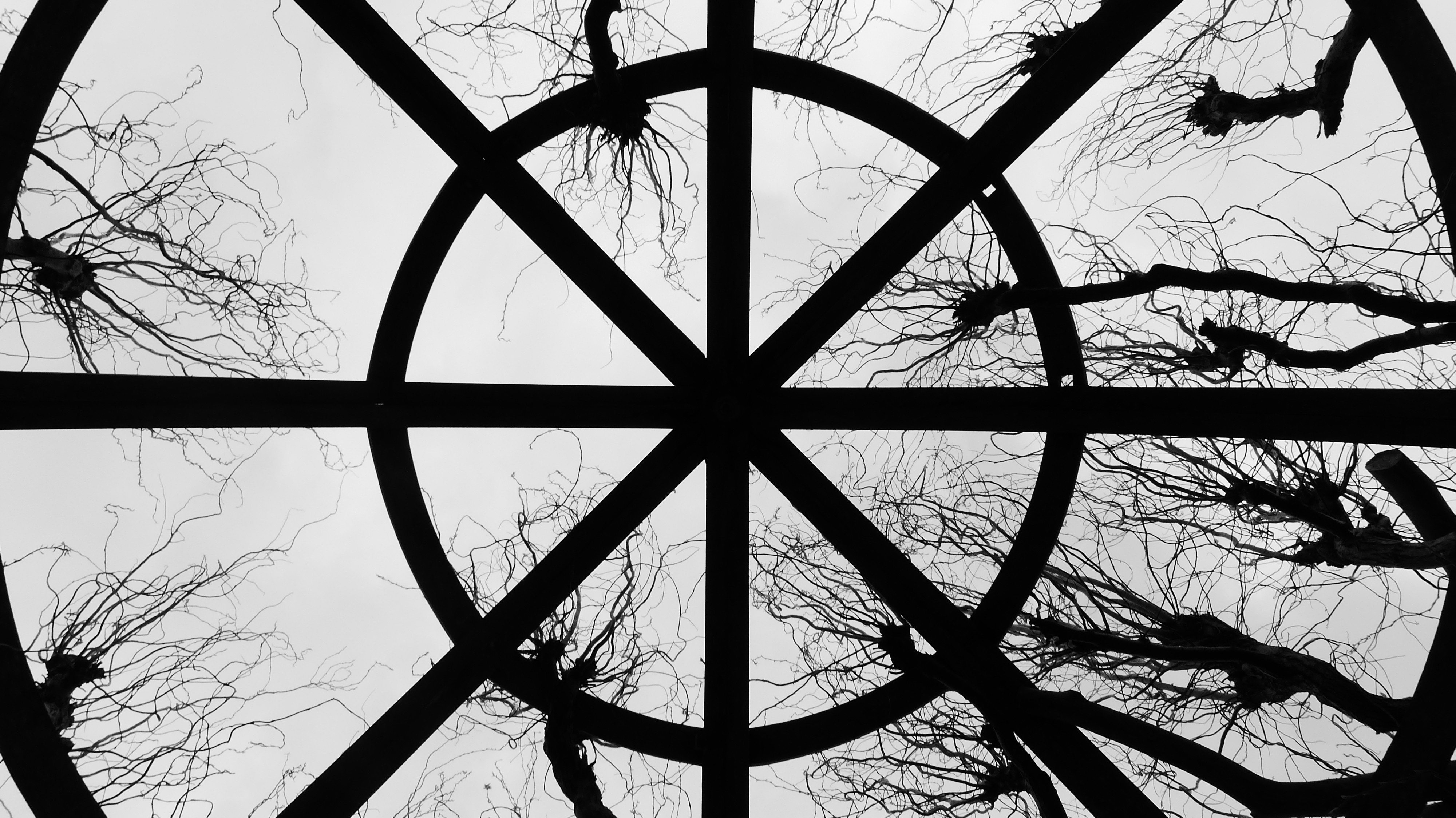 Monochrome silhouette of bare tree branches through a circular window HD Wallpaper