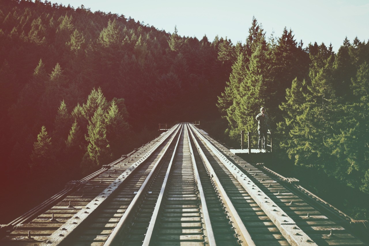 Man on railway bridge in forest HD Wallpaper