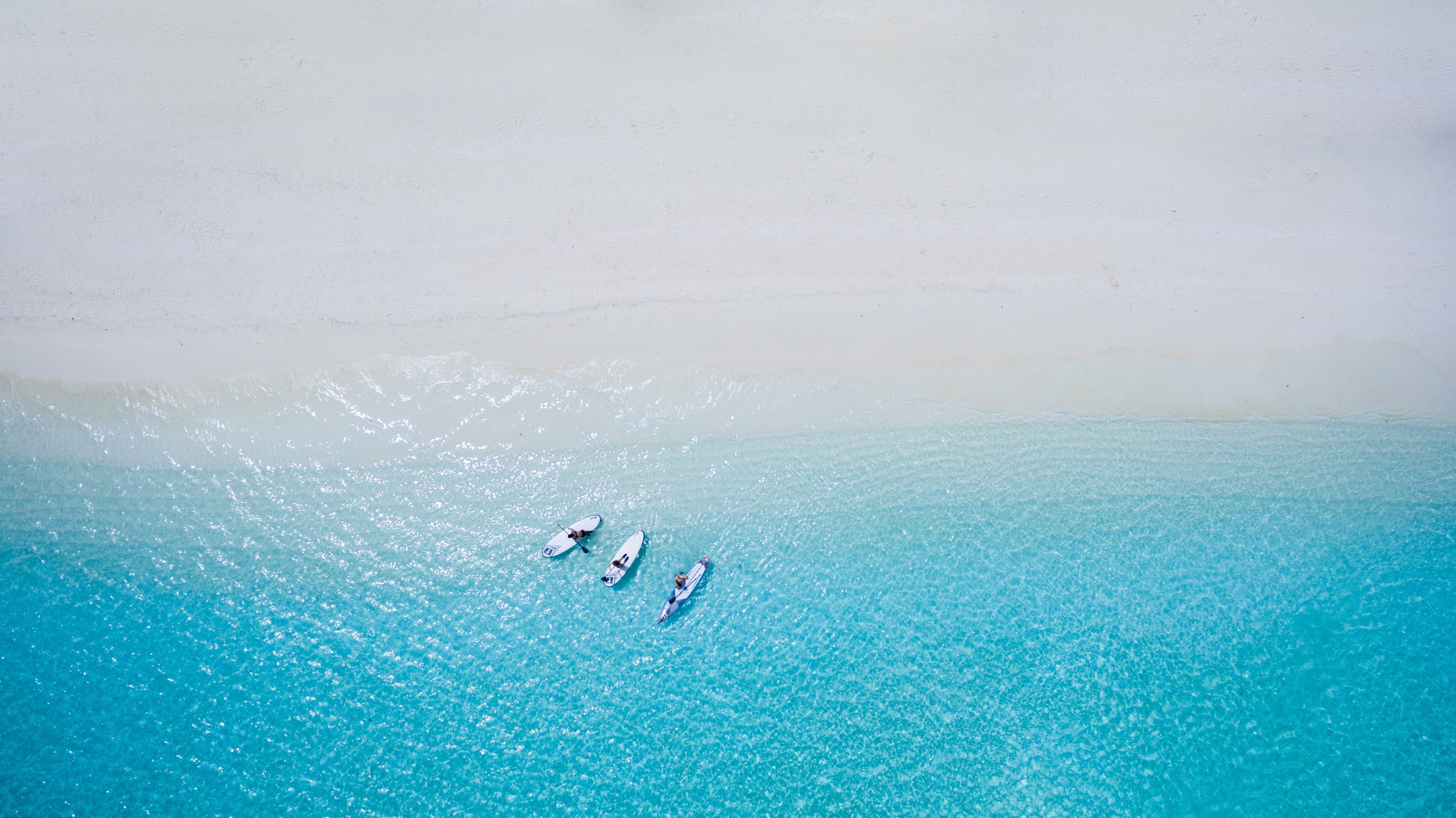 People paddleboarding on a turquoise ocean near a white sand beach HD Wallpaper