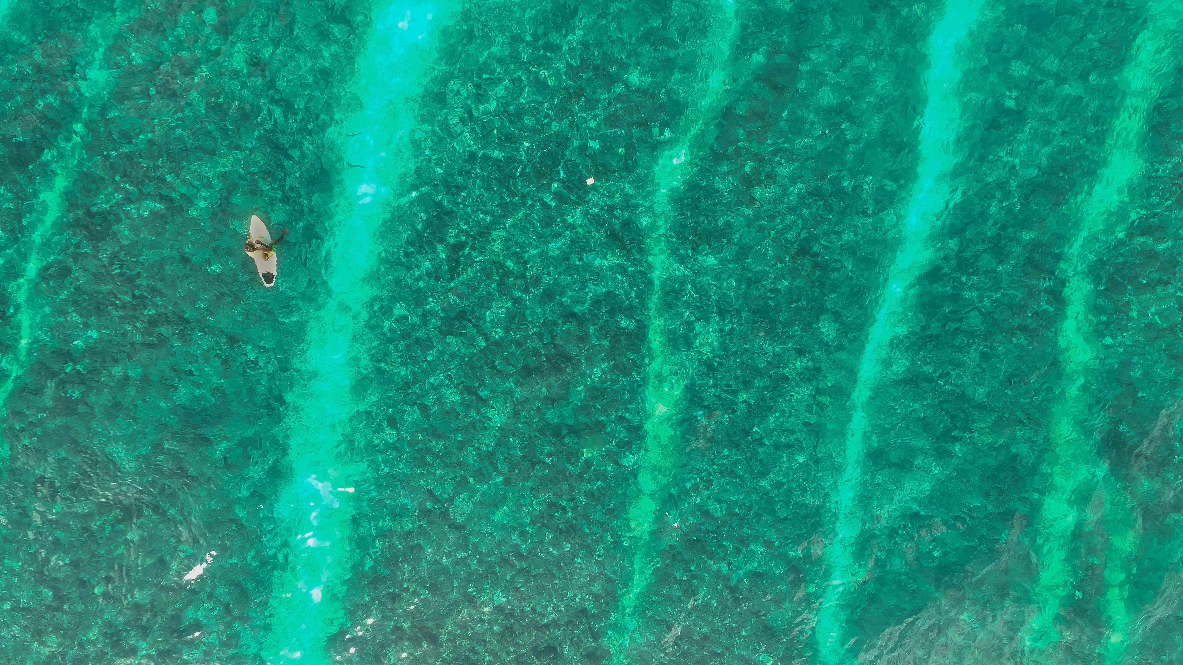 Person on a surfboard in clear green water HD Wallpaper