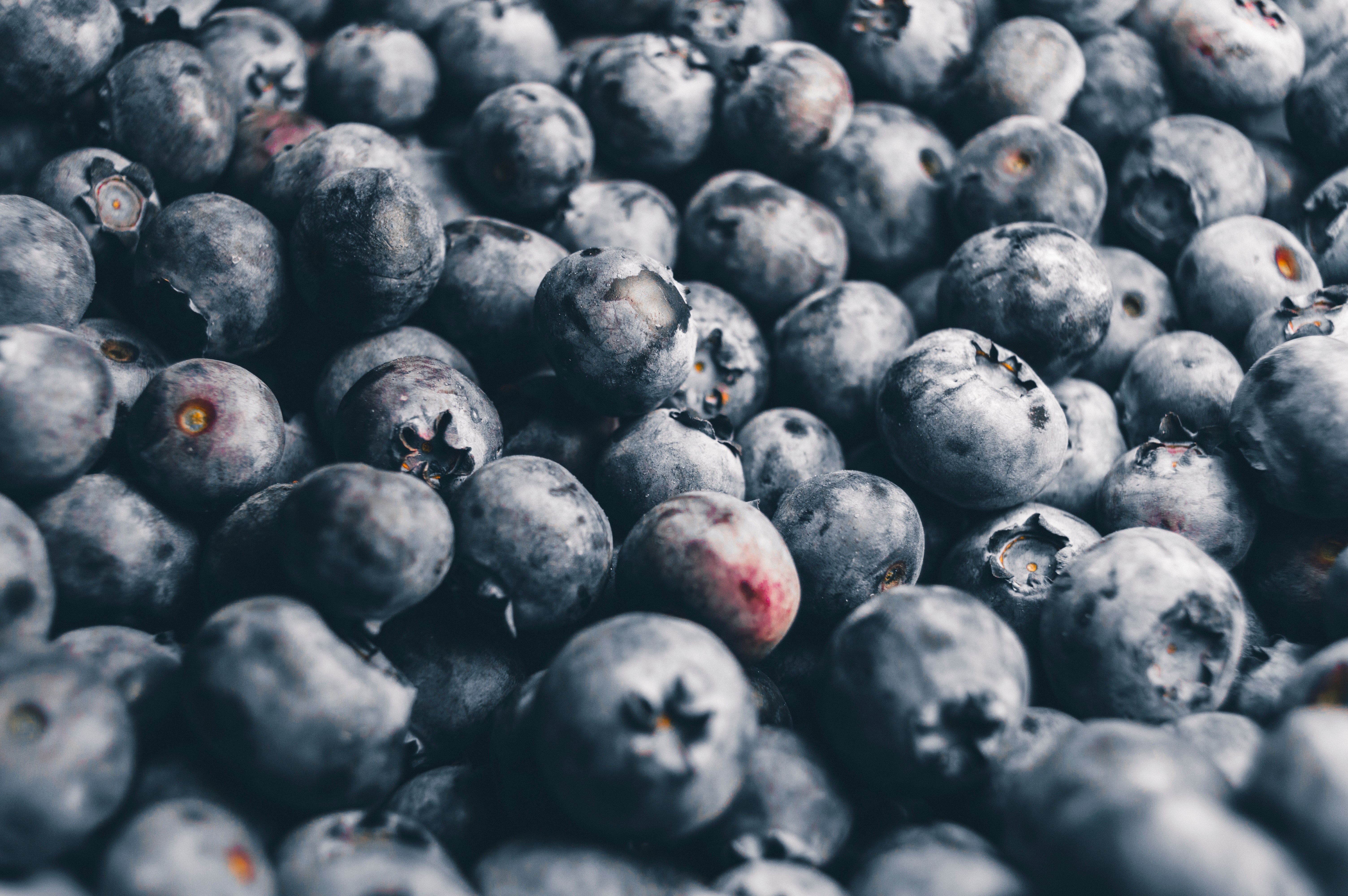 Close-up of fresh blueberries HD Wallpaper