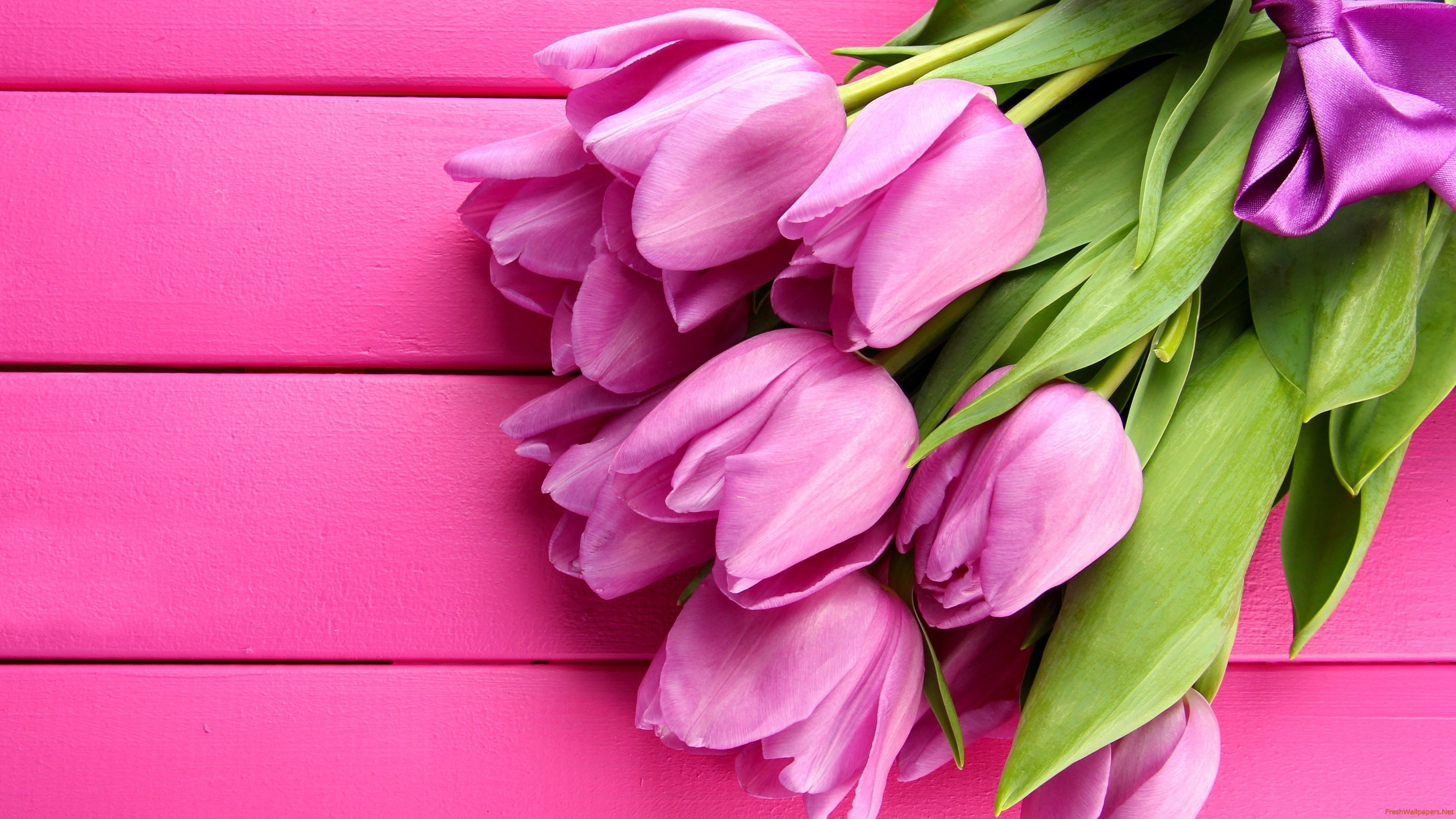 Pink Tulips with Purple Ribbon on Pink Wood HD Wallpaper