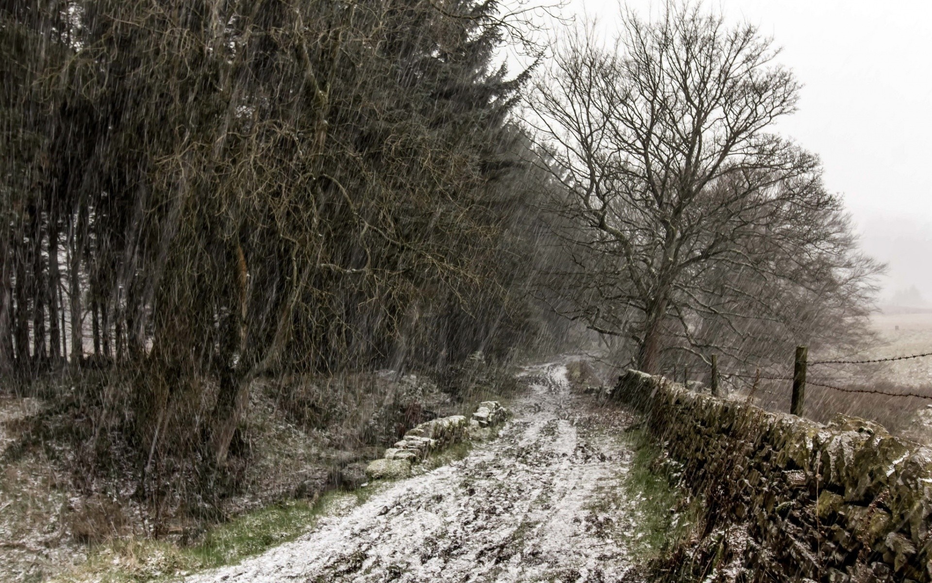 Snowy forest road with stone wall and bare trees HD Wallpaper