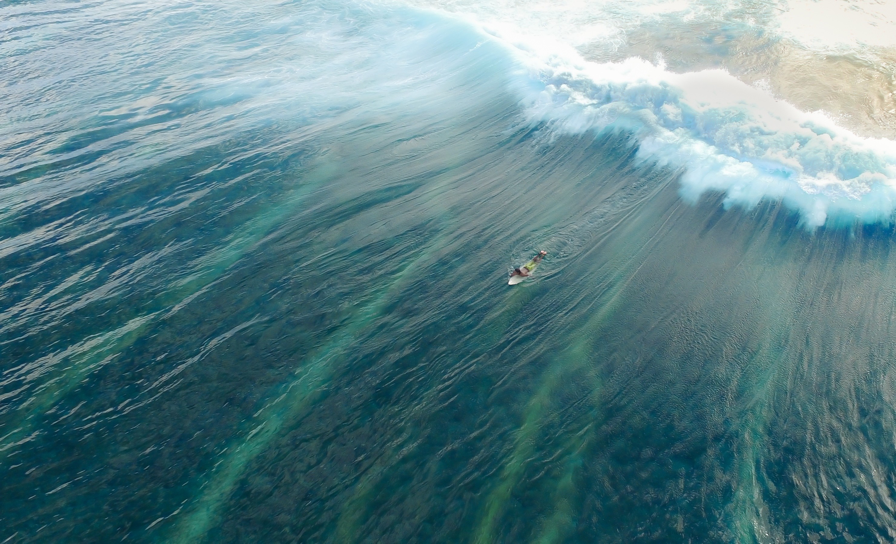 Surfer riding a large wave in the ocean HD Wallpaper