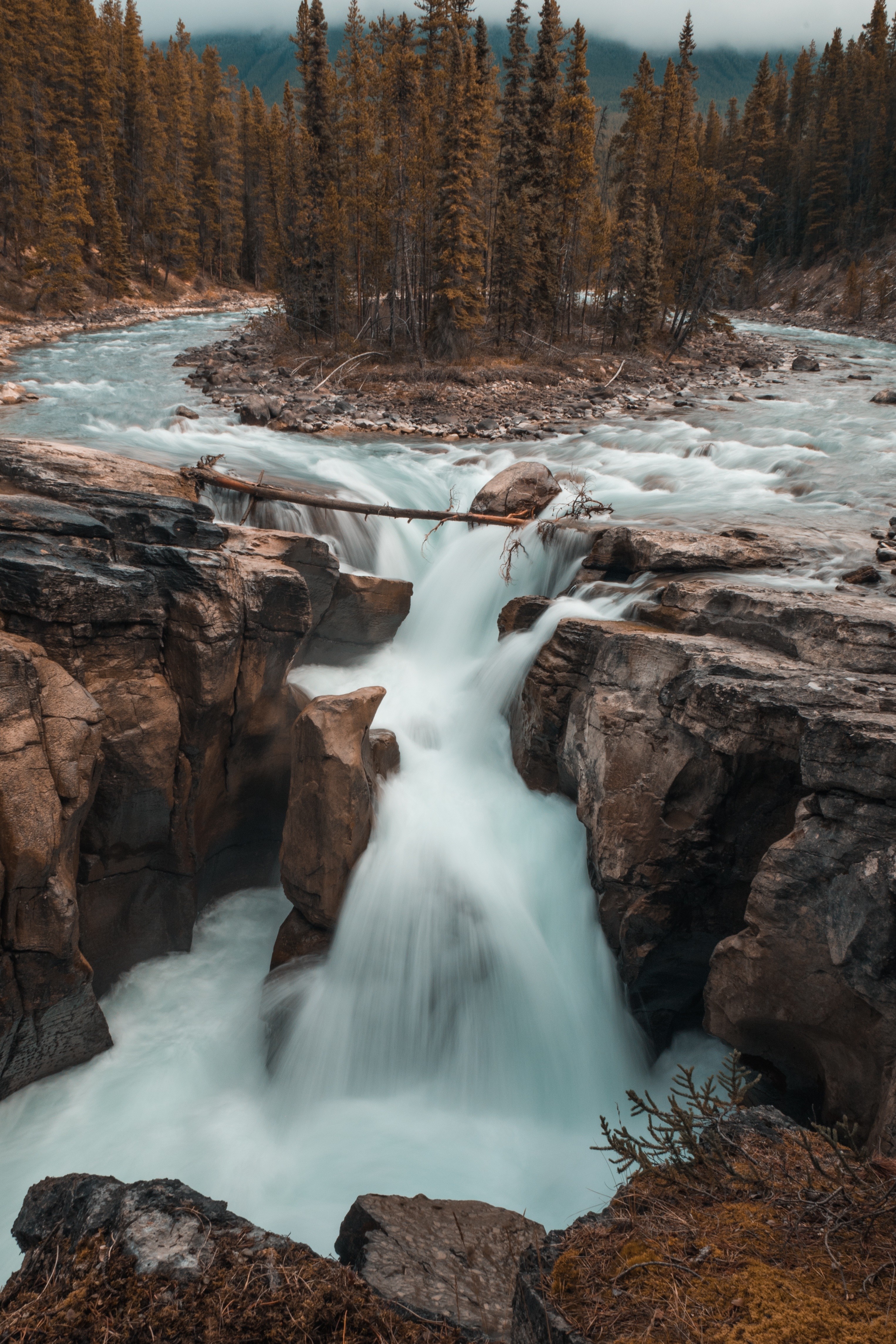 Waterfall flowing through a rocky gorge with pine forest HD Wallpaper