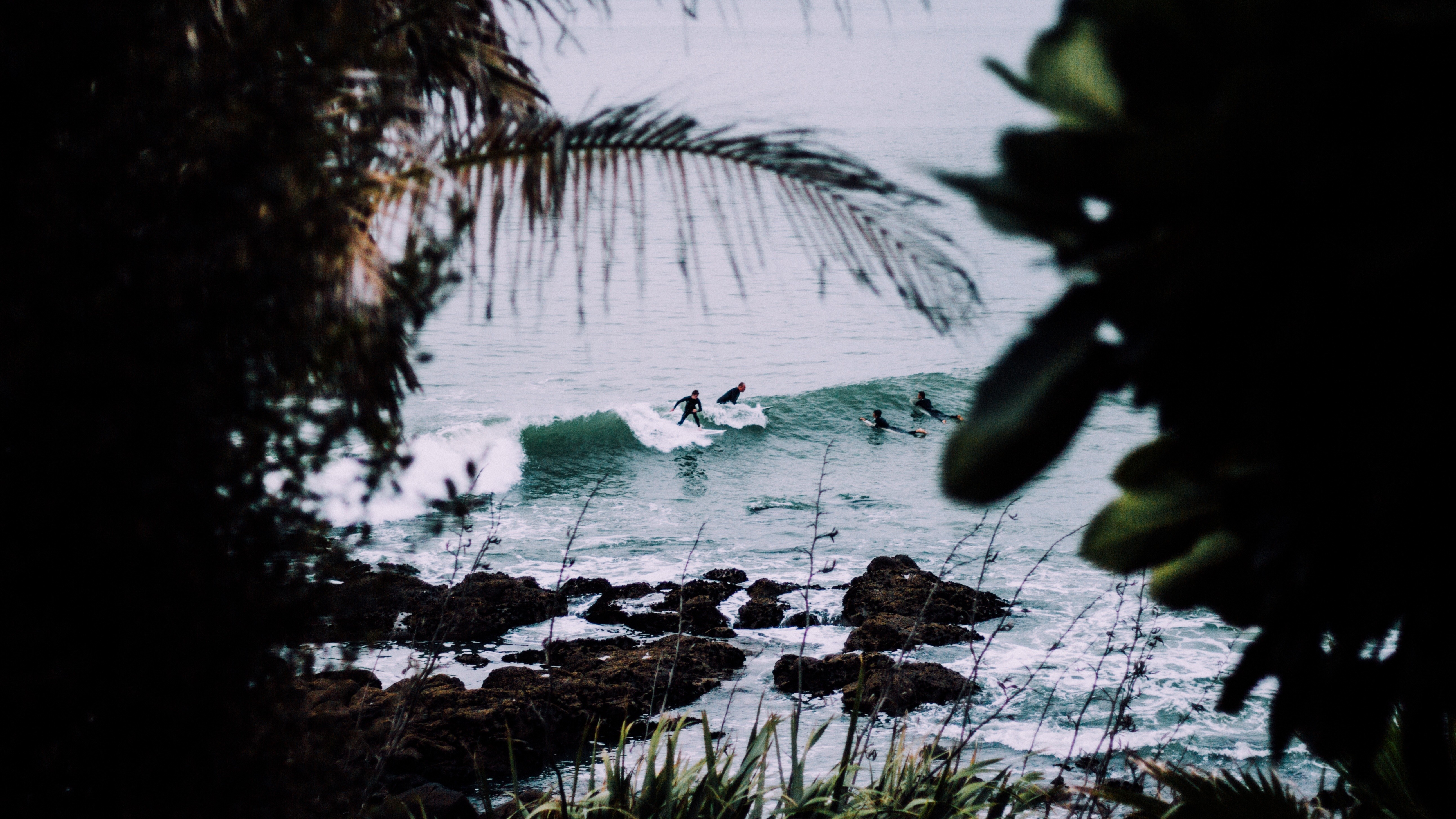 Surfers riding waves near rocky shore with palm trees HD Wallpaper
