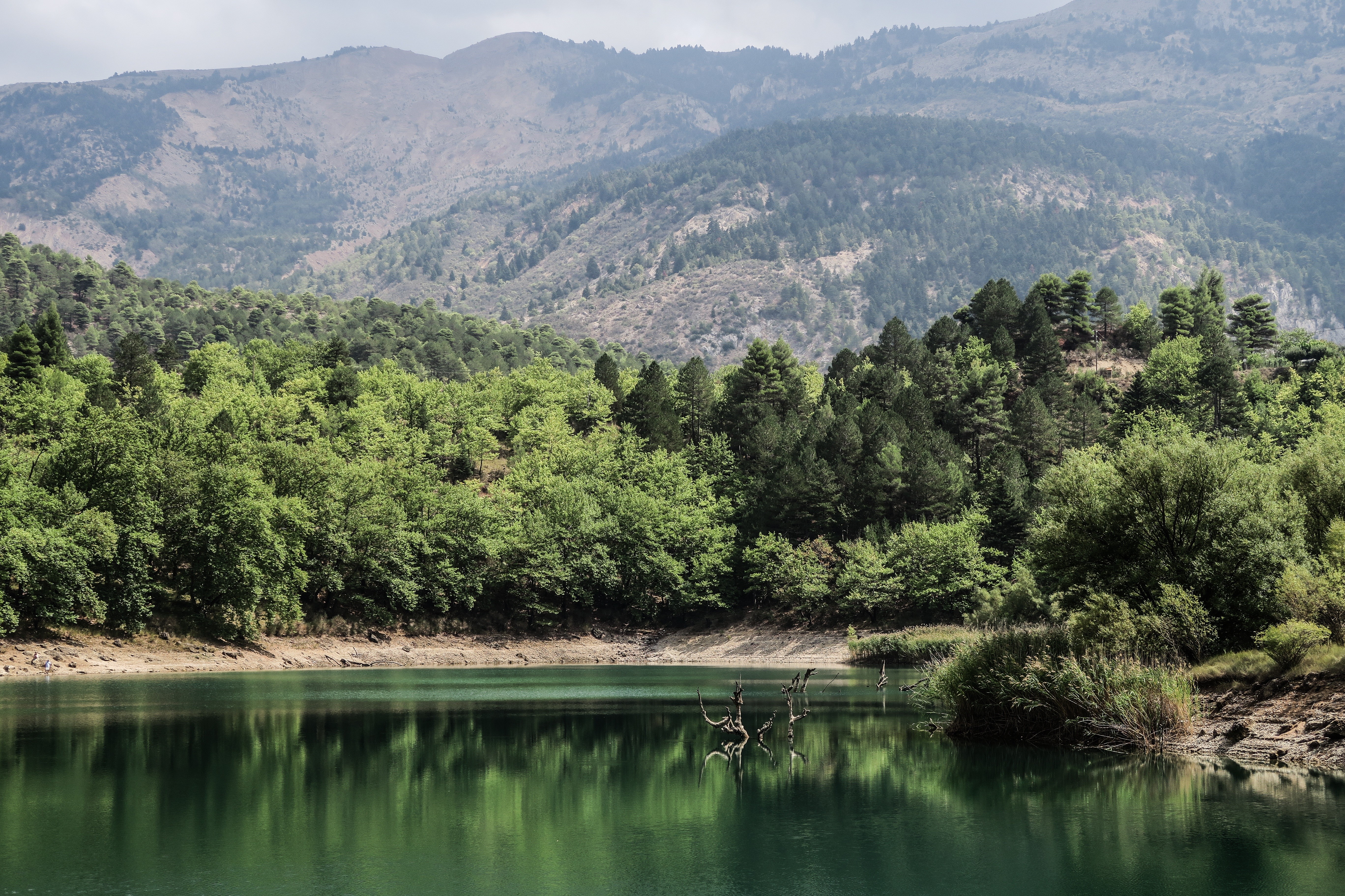 Lake and forest with mountains in the background HD Wallpaper