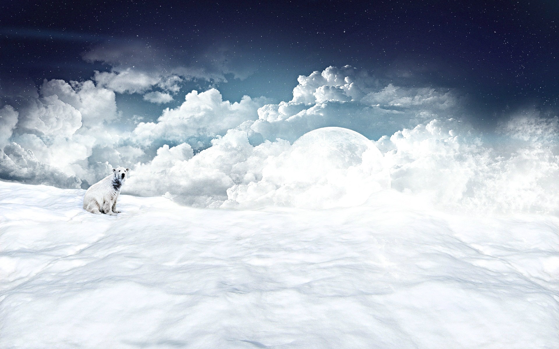 Polar bear in a snowy landscape under a starry sky with a large moon HD Wallpaper