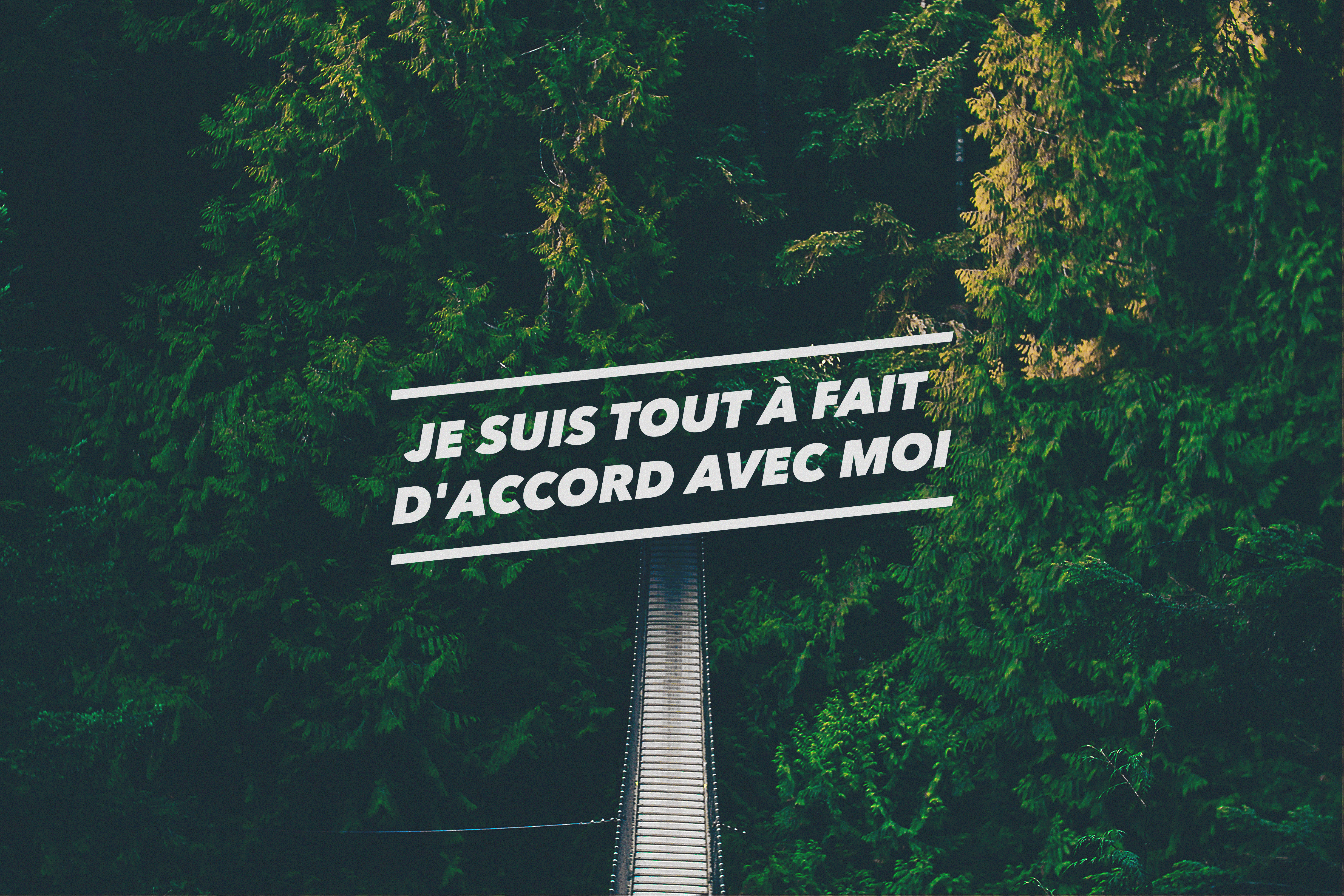 Sign with French quote in a forest HD Wallpaper
