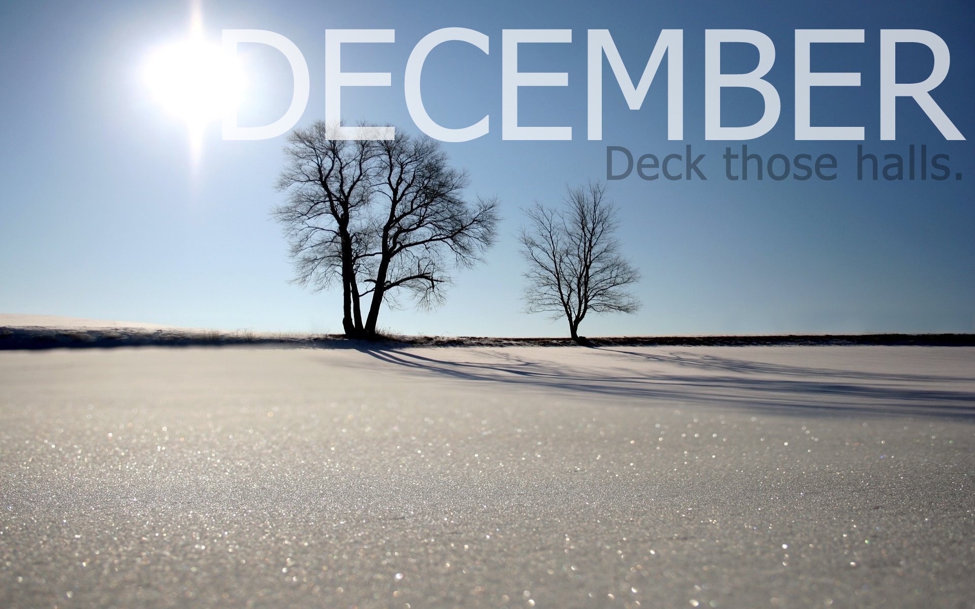 December text over winter landscape with trees HD Wallpaper