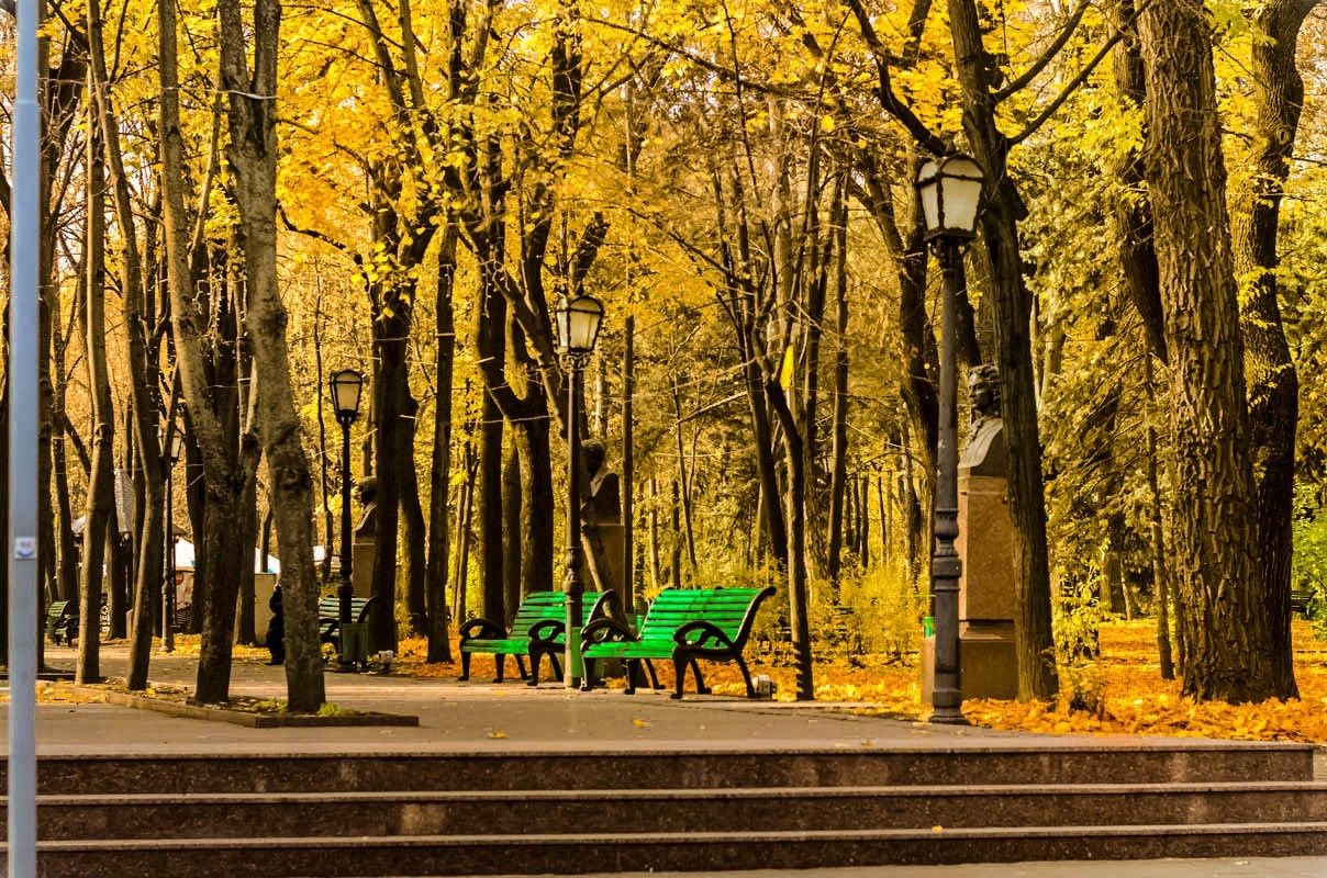 Autumn park with yellow trees and benches HD Wallpaper