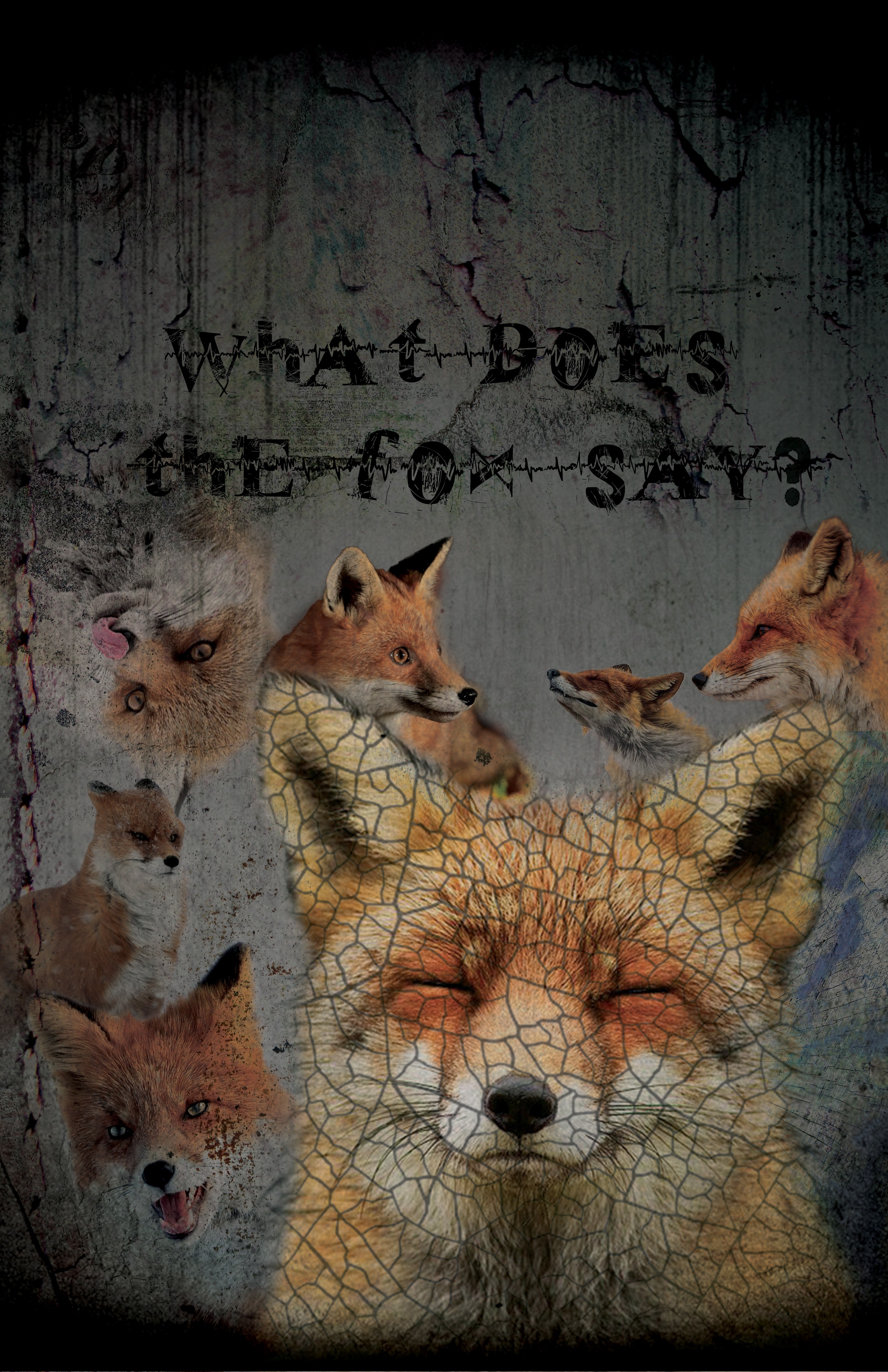 Collage of foxes with the quote "What Does the Fox Say?" HD Wallpaper