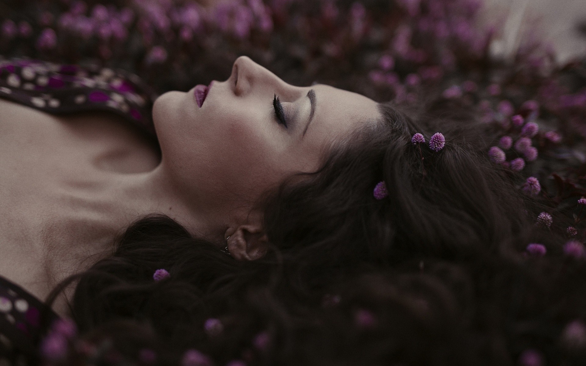 Woman lying down with purple flowers HD Wallpaper