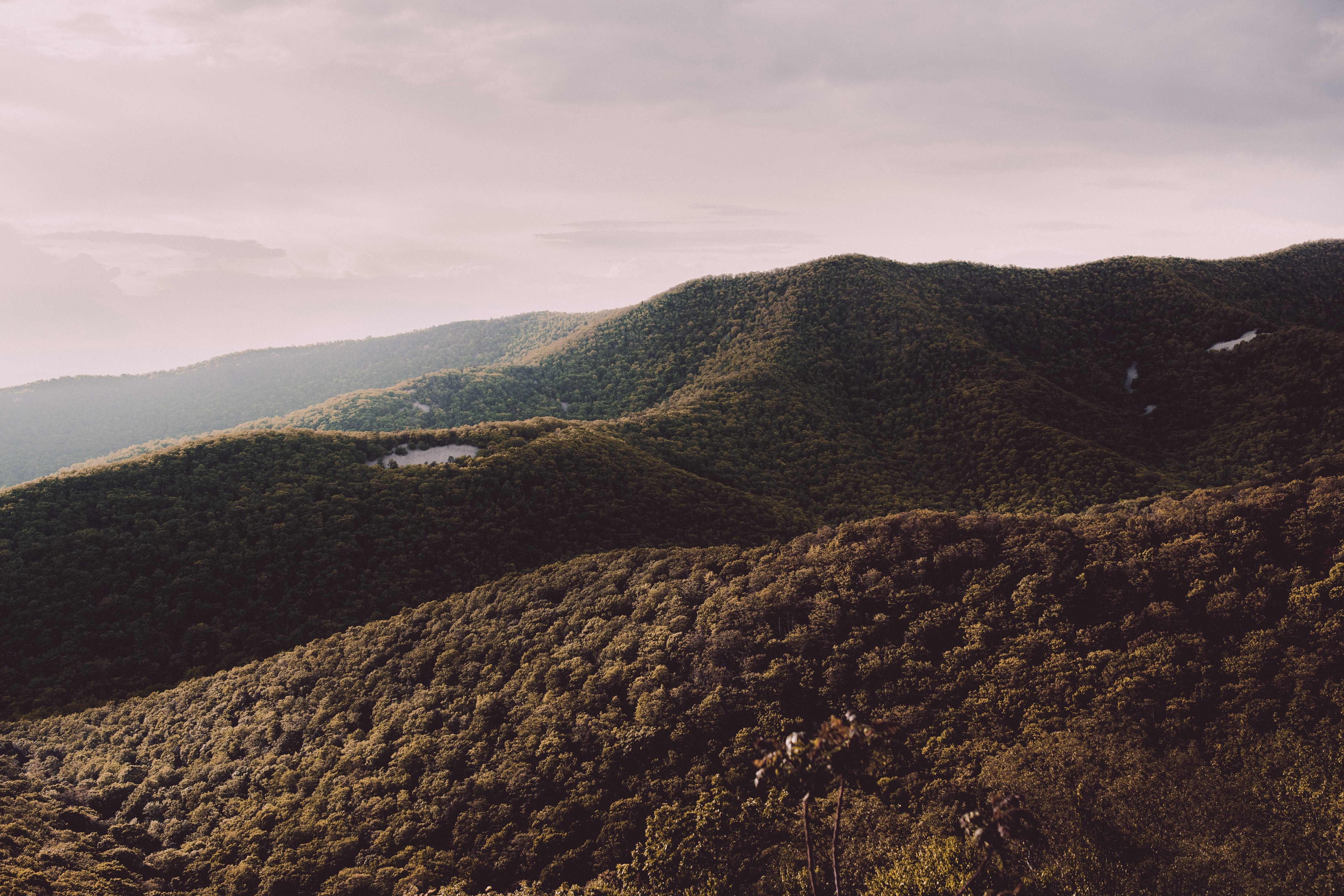 Green forested mountains under a cloudy sky HD Wallpaper