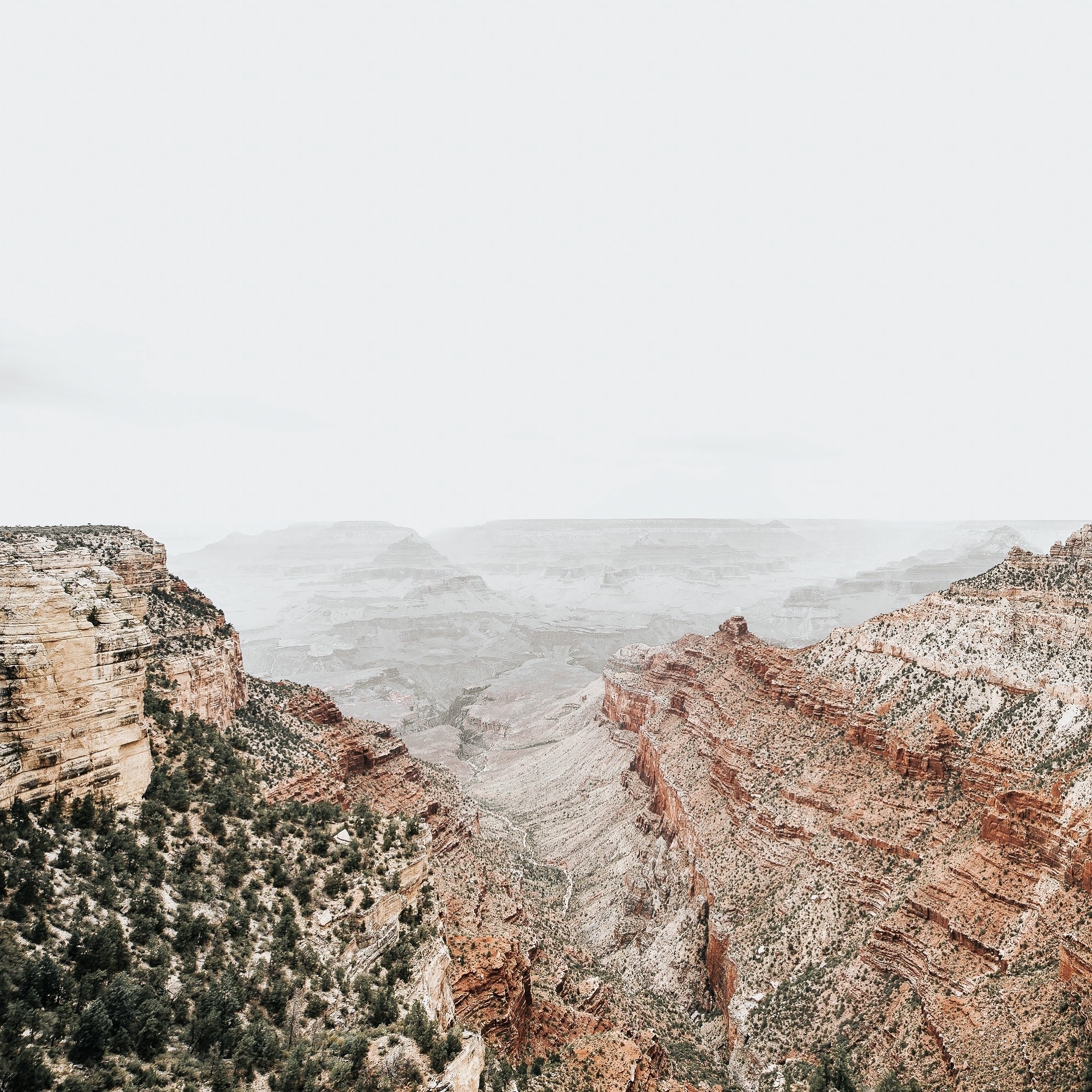 Grand Canyon National Park landscape with layered rock formations and sparse vegetation HD Wallpaper