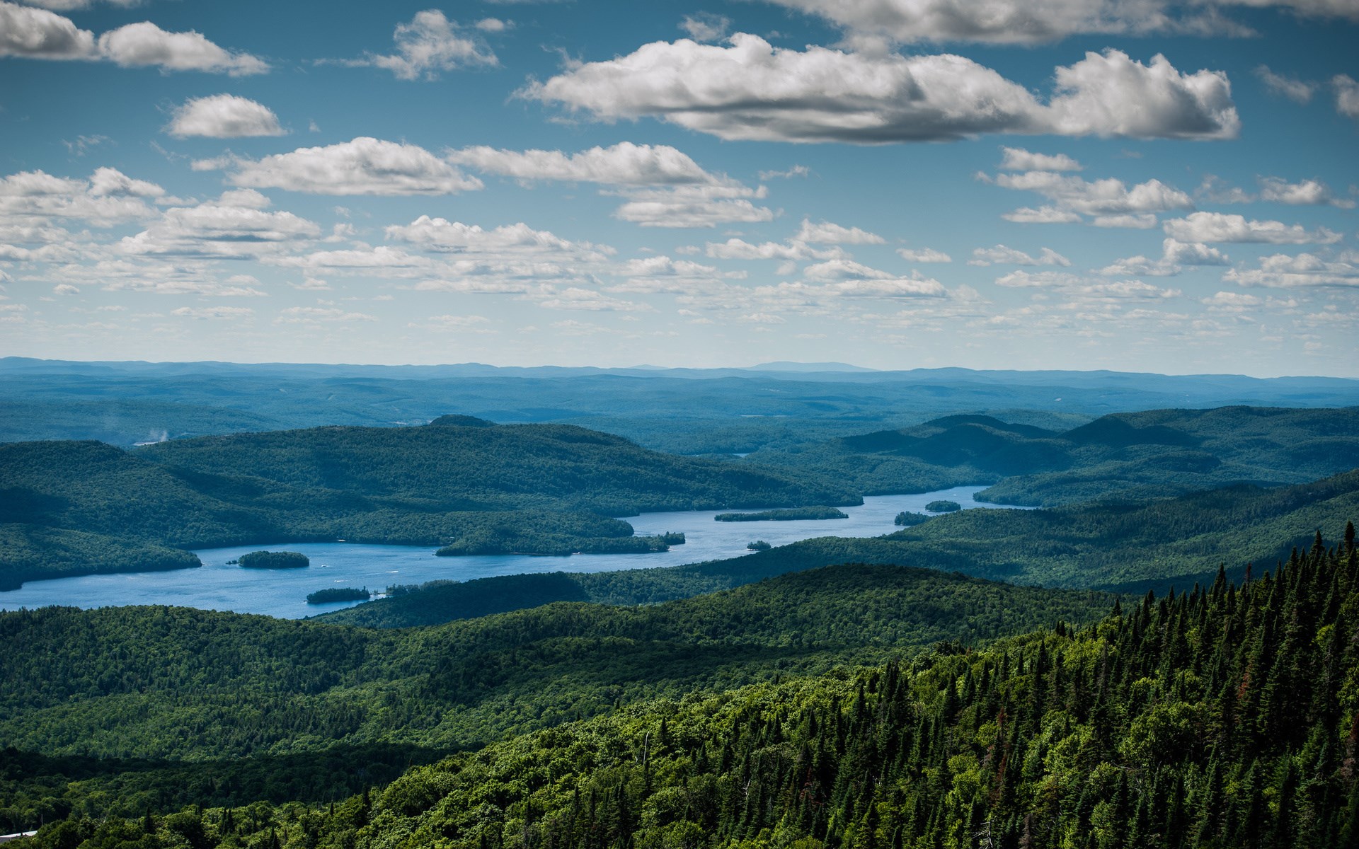 Expansive view of forested mountains and a lake HD Wallpaper