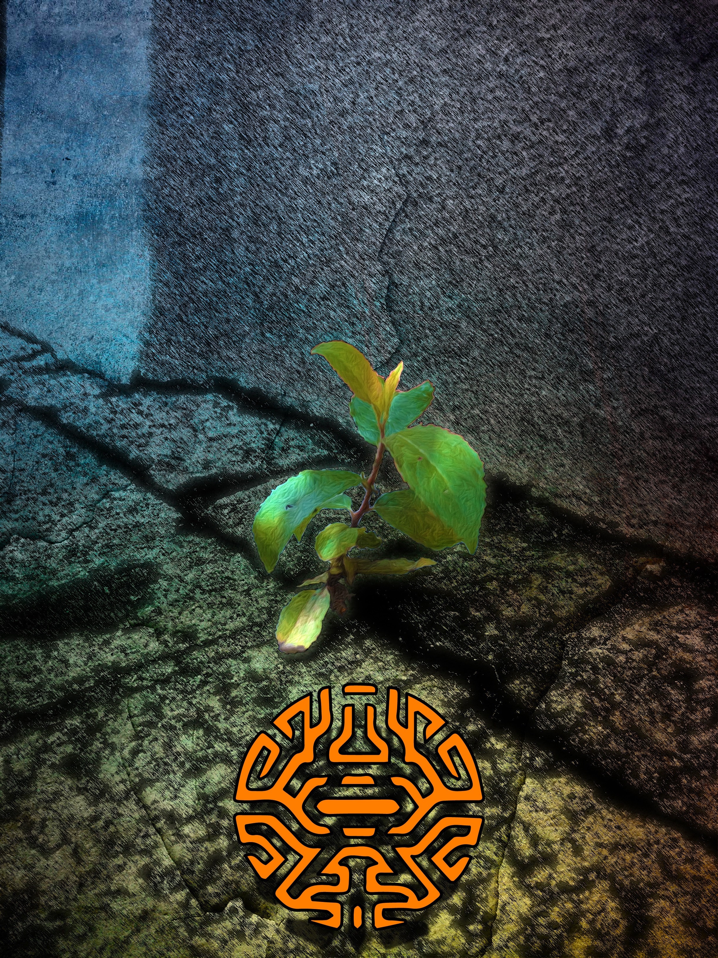 Plant growing from rock with tribal symbol HD Wallpaper