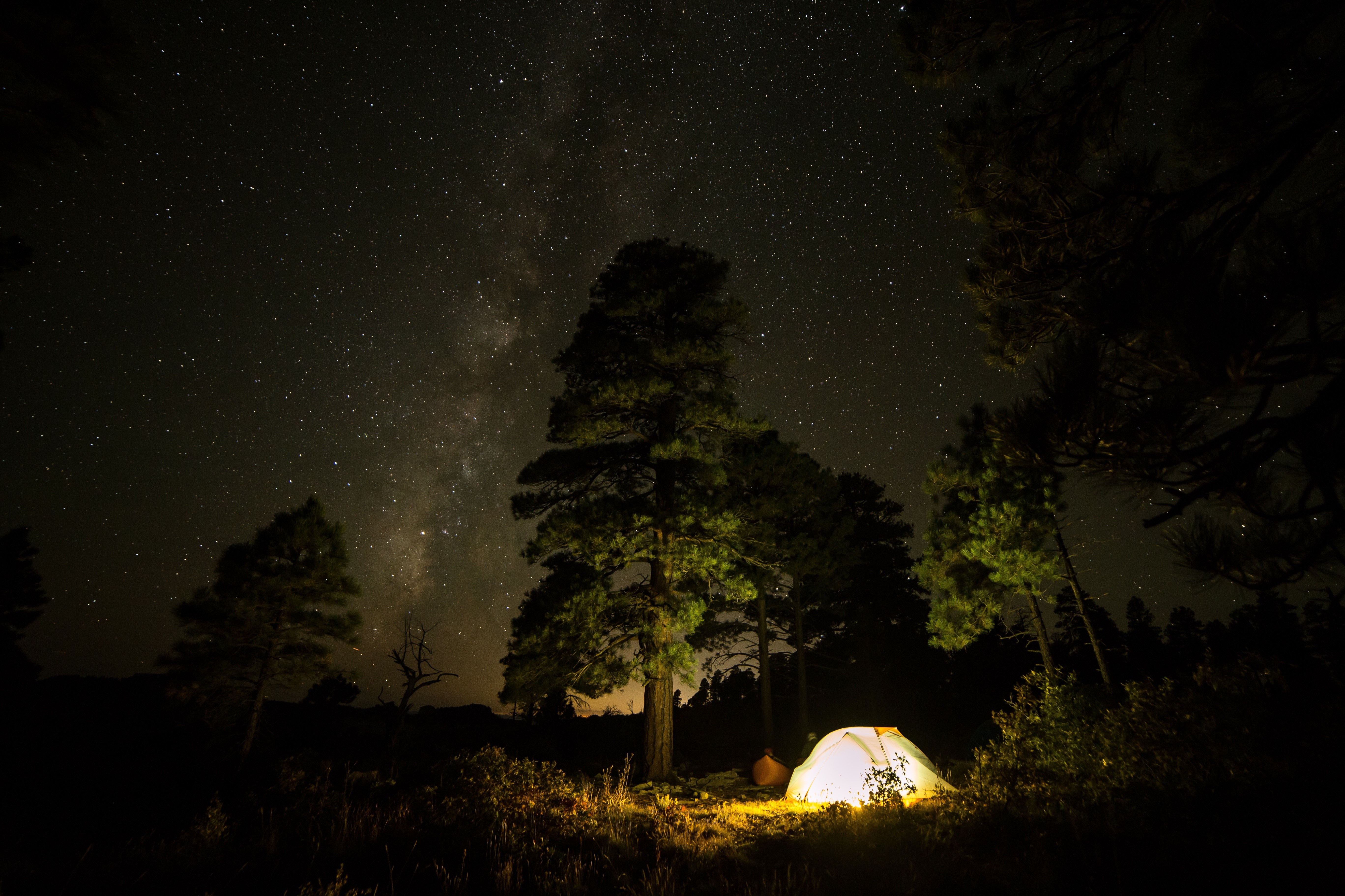 Tent under the starry night sky in a forest HD Wallpaper