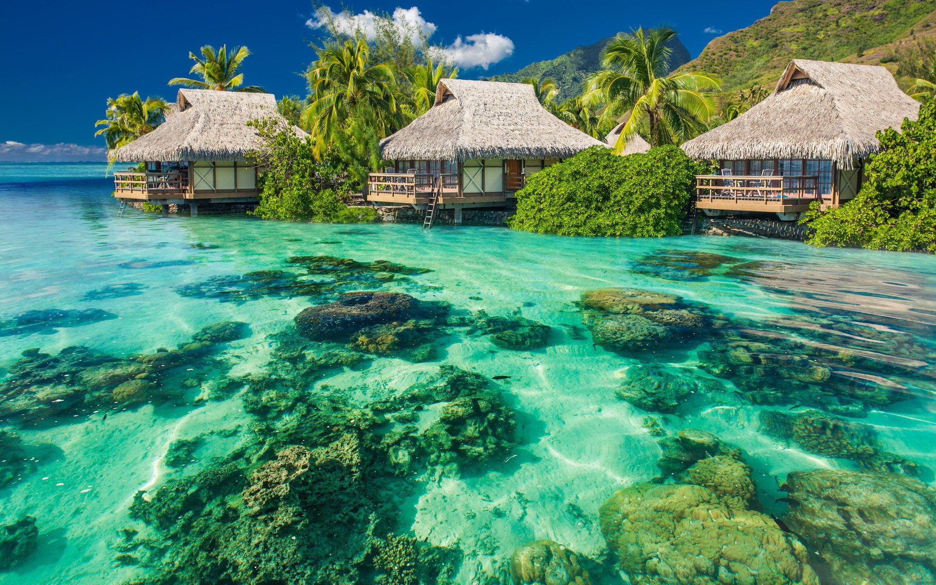 Overwater bungalows in a tropical lagoon with coral reefs HD Wallpaper
