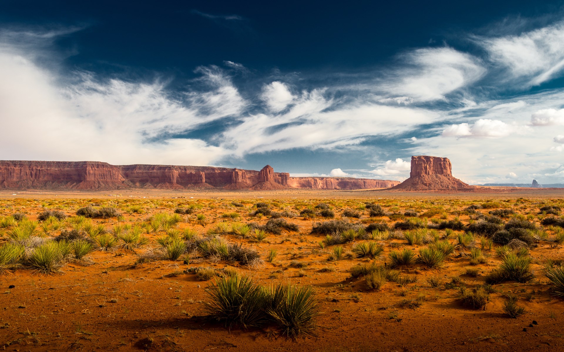 Monument Valley landscape with mesas and desert plants HD Wallpaper
