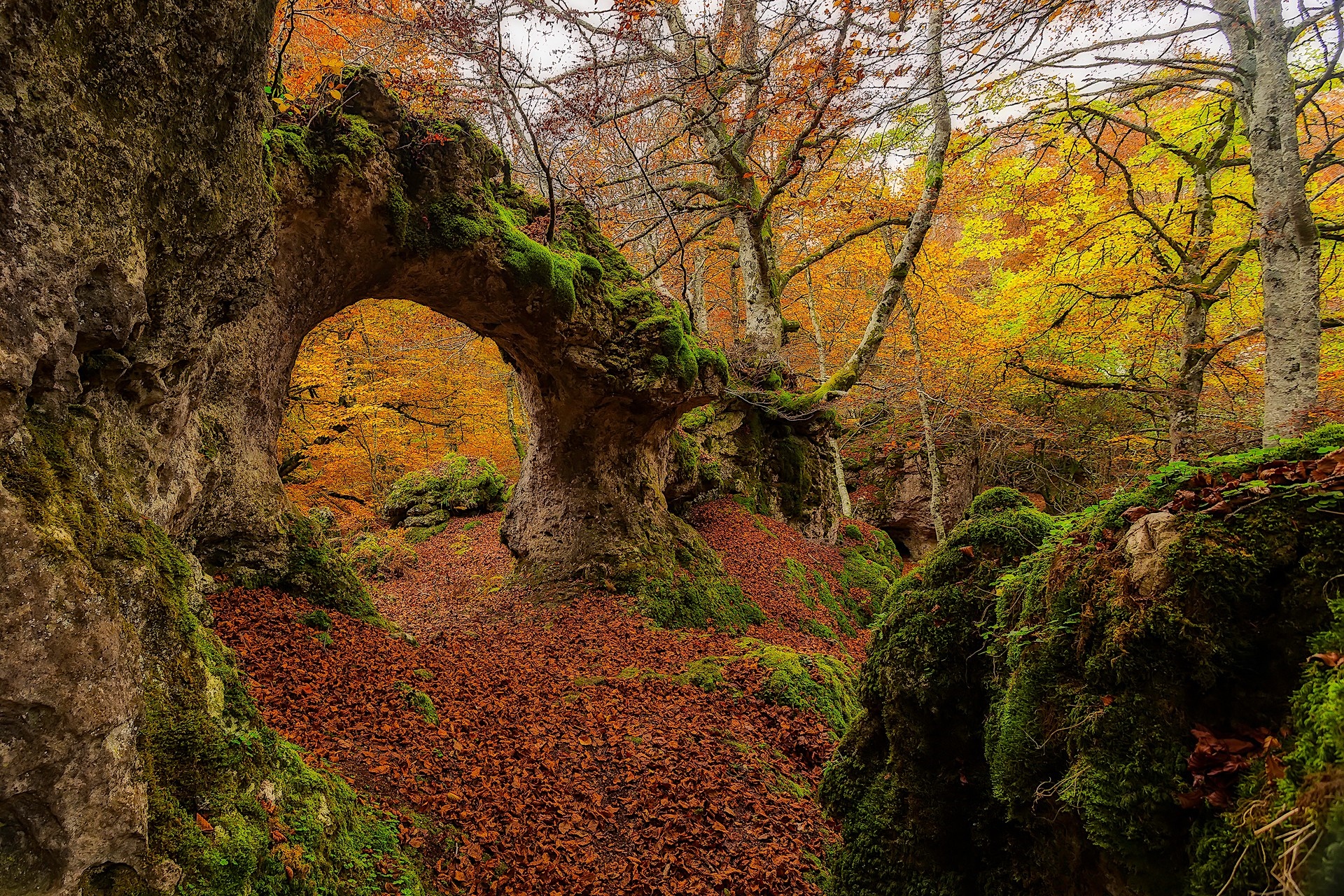 Autumn forest with a natural stone archway covered in moss HD Wallpaper