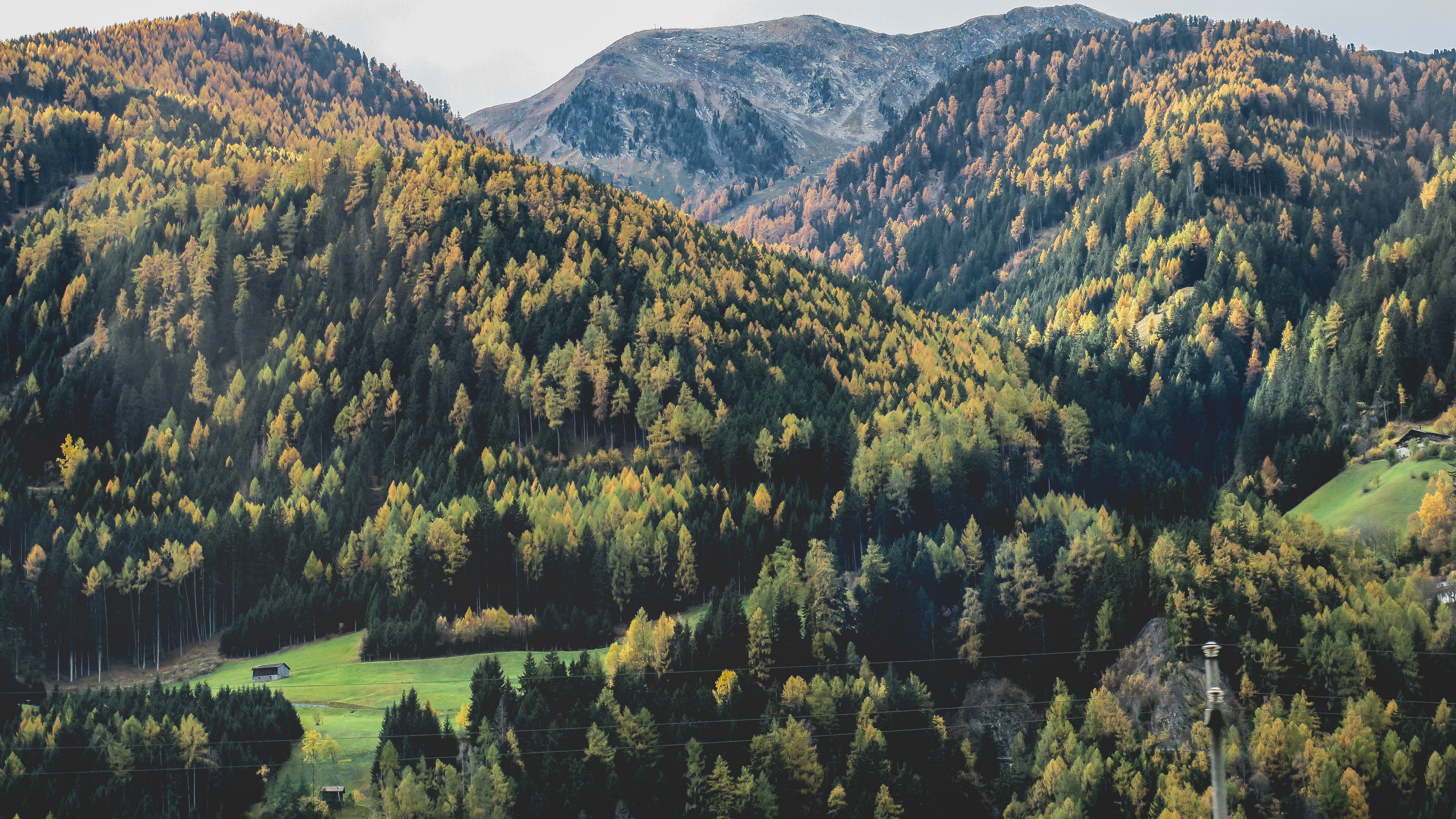 Autumn forest covering mountains and valley HD Wallpaper