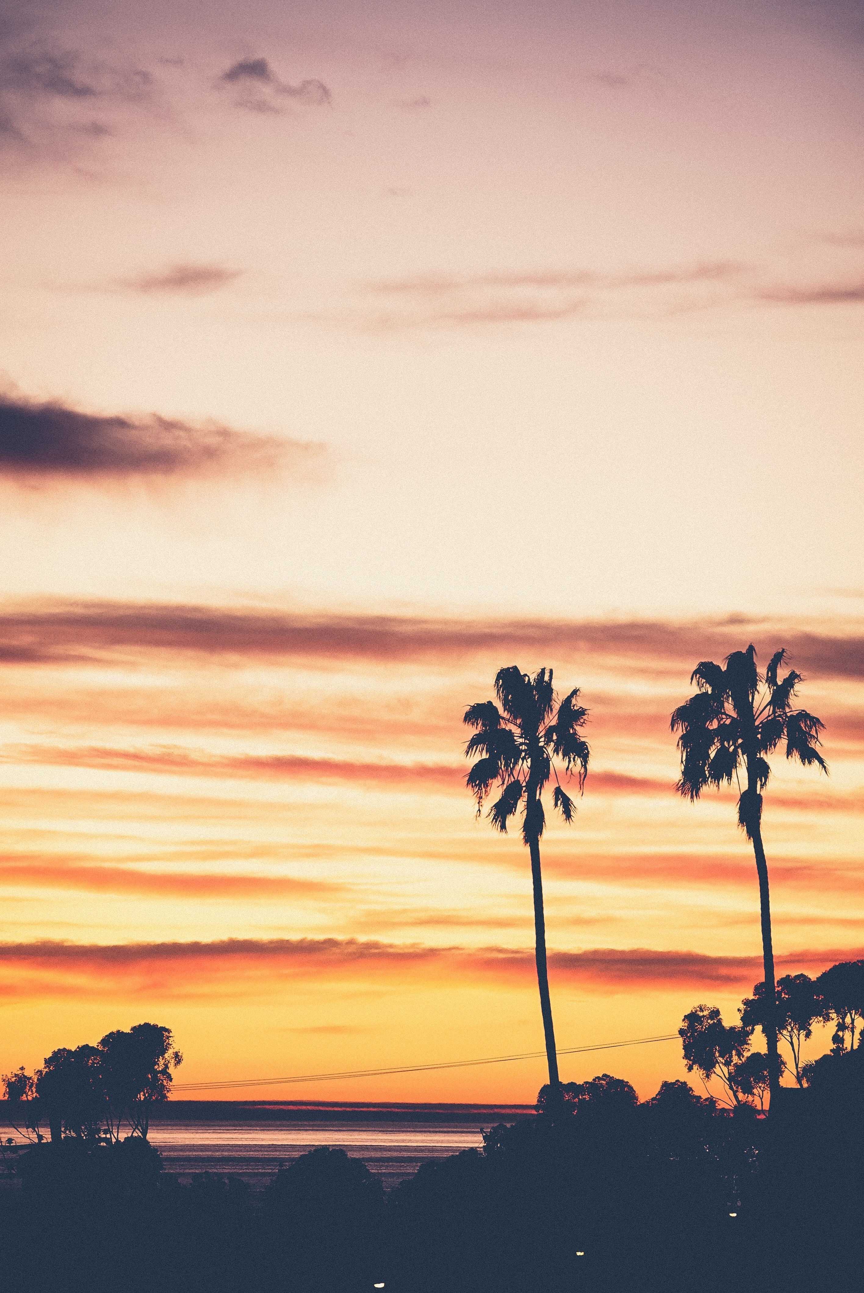 Palm trees silhouetted against a colorful sunset over the ocean HD Wallpaper