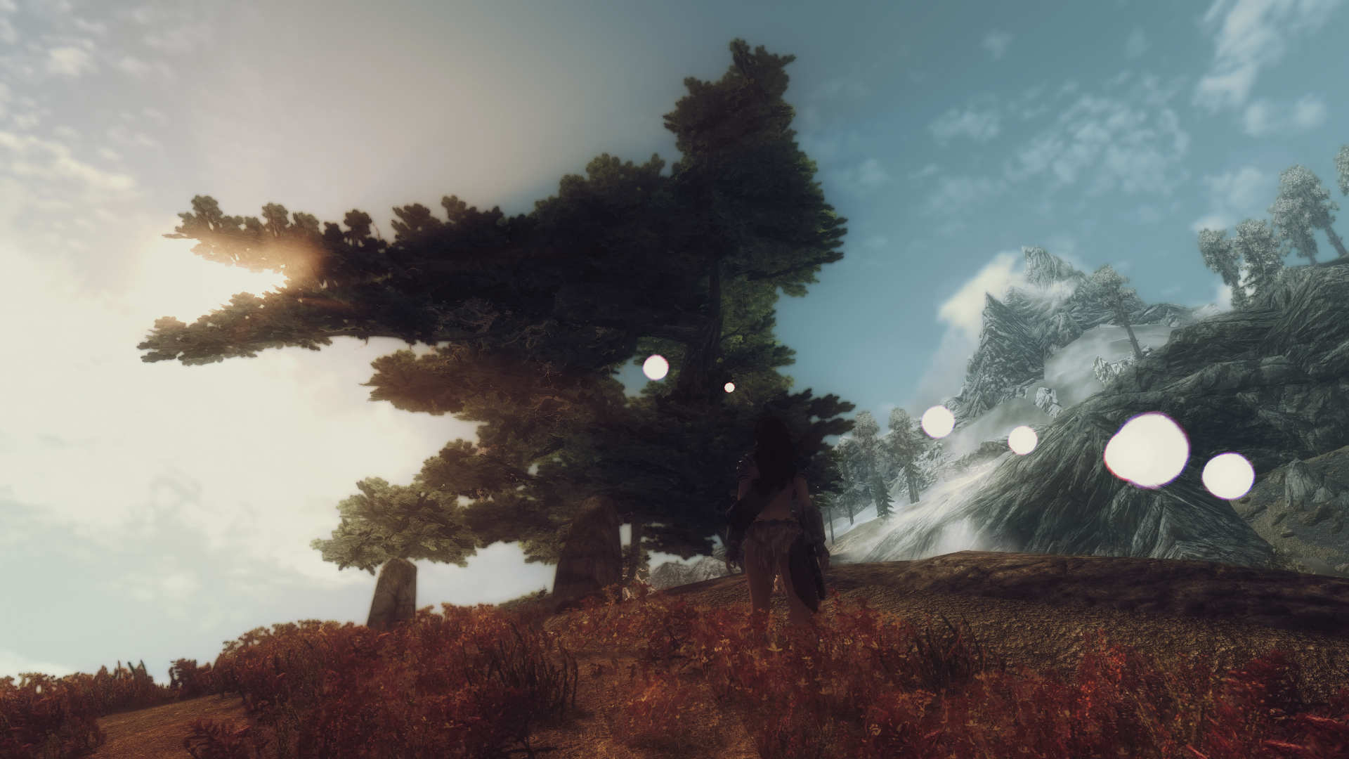 The Elder Scrolls V Skyrim landscape with trees and mountains HD Wallpaper