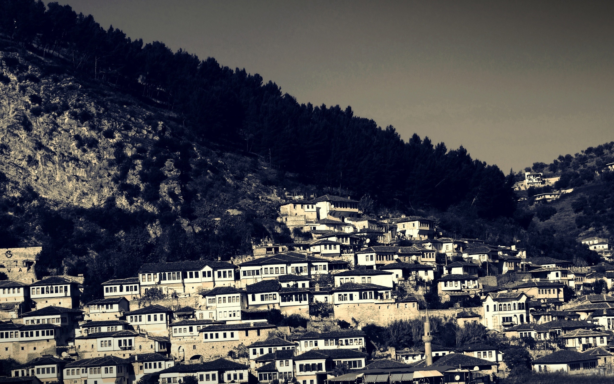 Traditional houses on a hillside with a forest HD Wallpaper