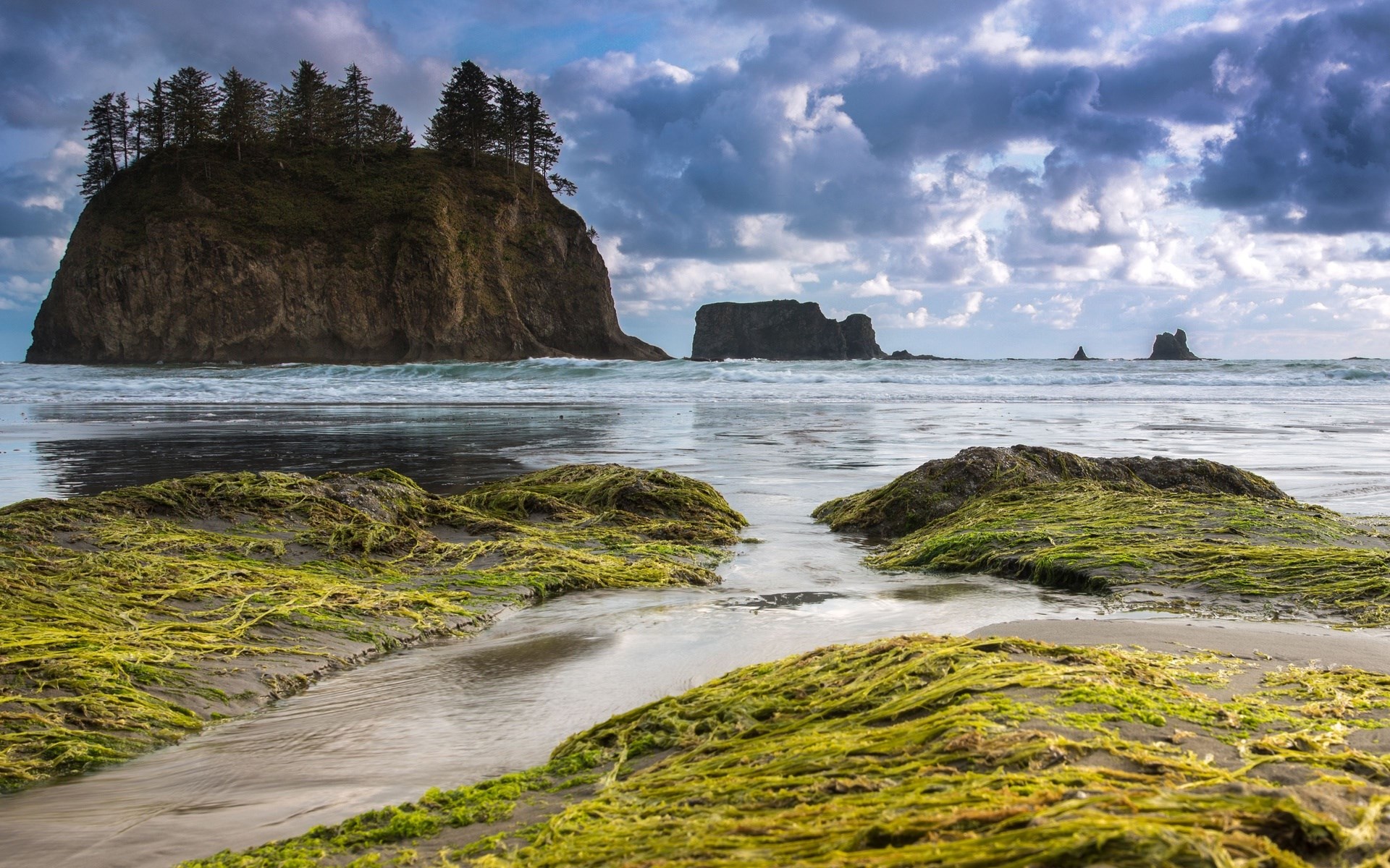 Rocky island with trees in the ocean and mossy rocks on the beach HD Wallpaper
