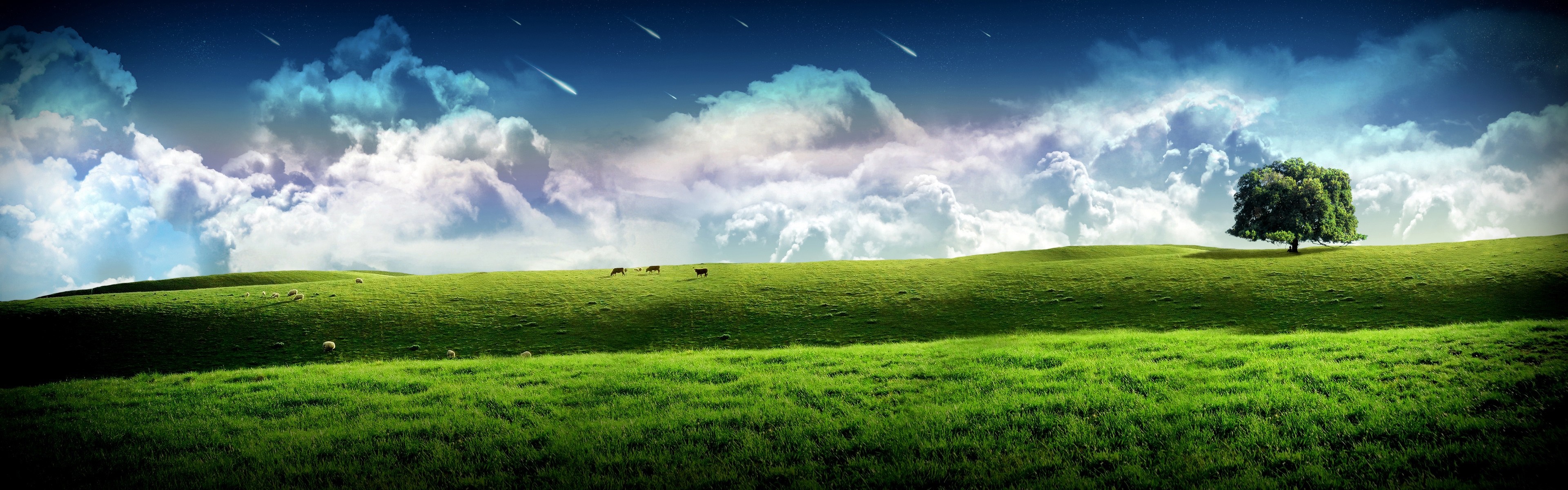 Green hills with clouds and a lone tree HD Wallpaper