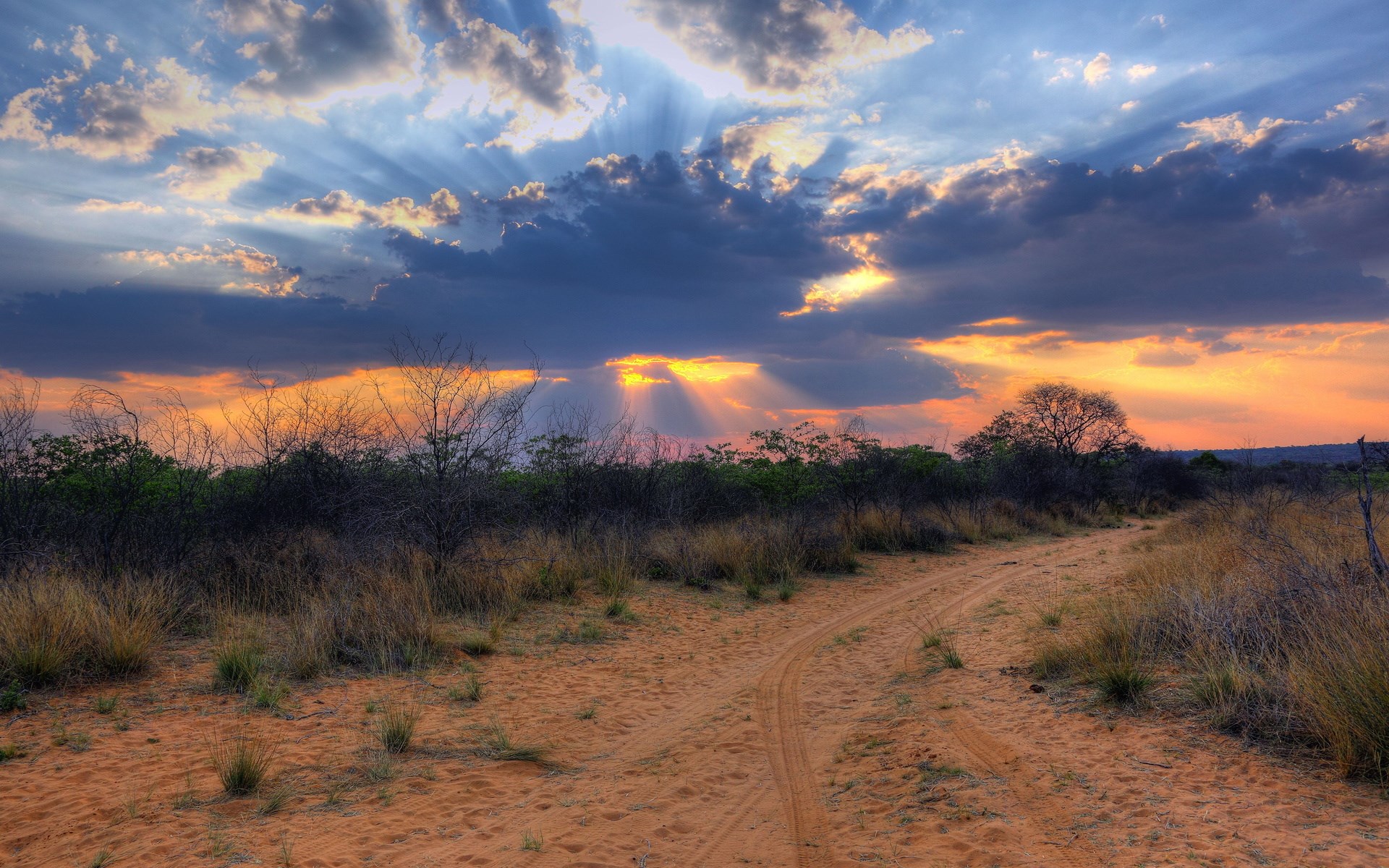 Sunset over a dirt road in a savanna landscape HD Wallpaper