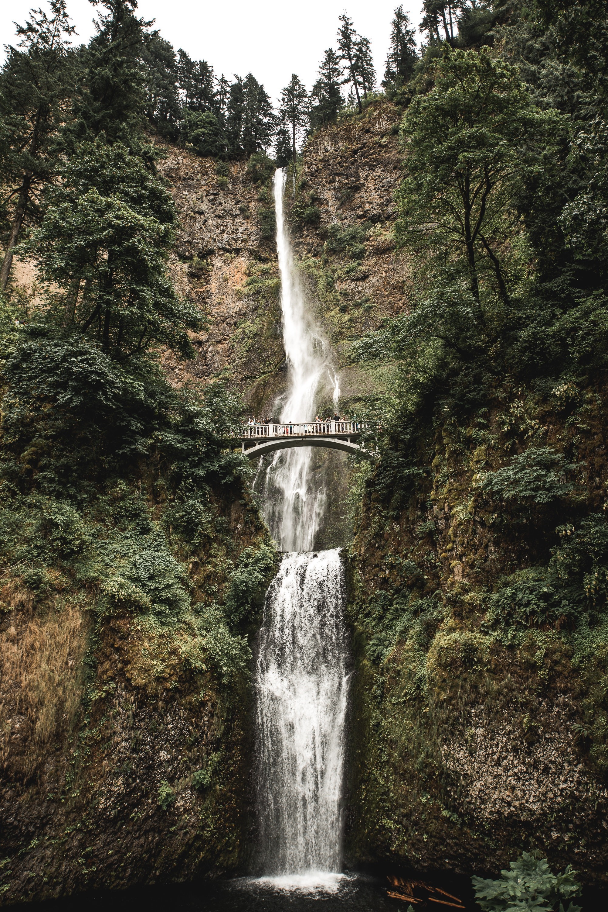 Multnomah Falls waterfall in Oregon with a bridge HD Wallpaper