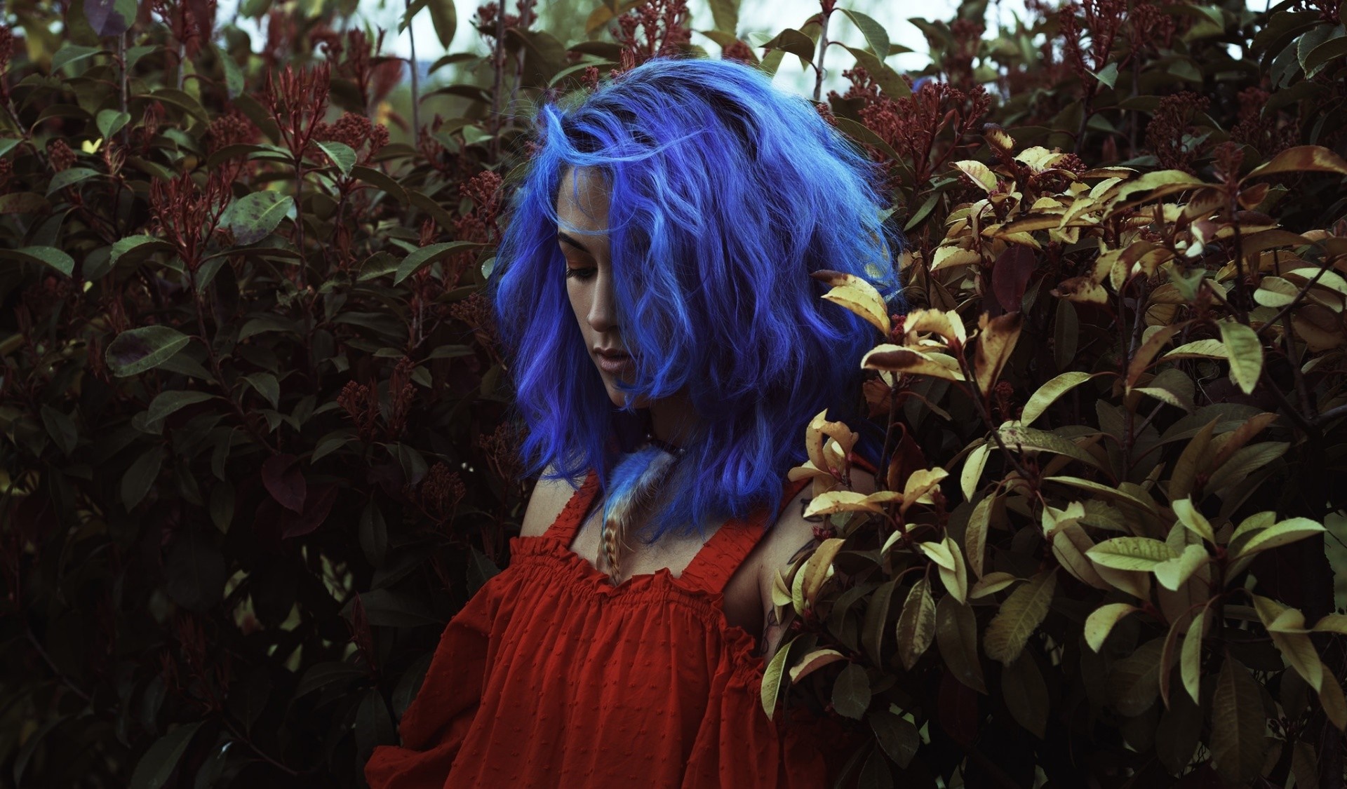 Woman with blue hair in a red dress among plants HD Wallpaper