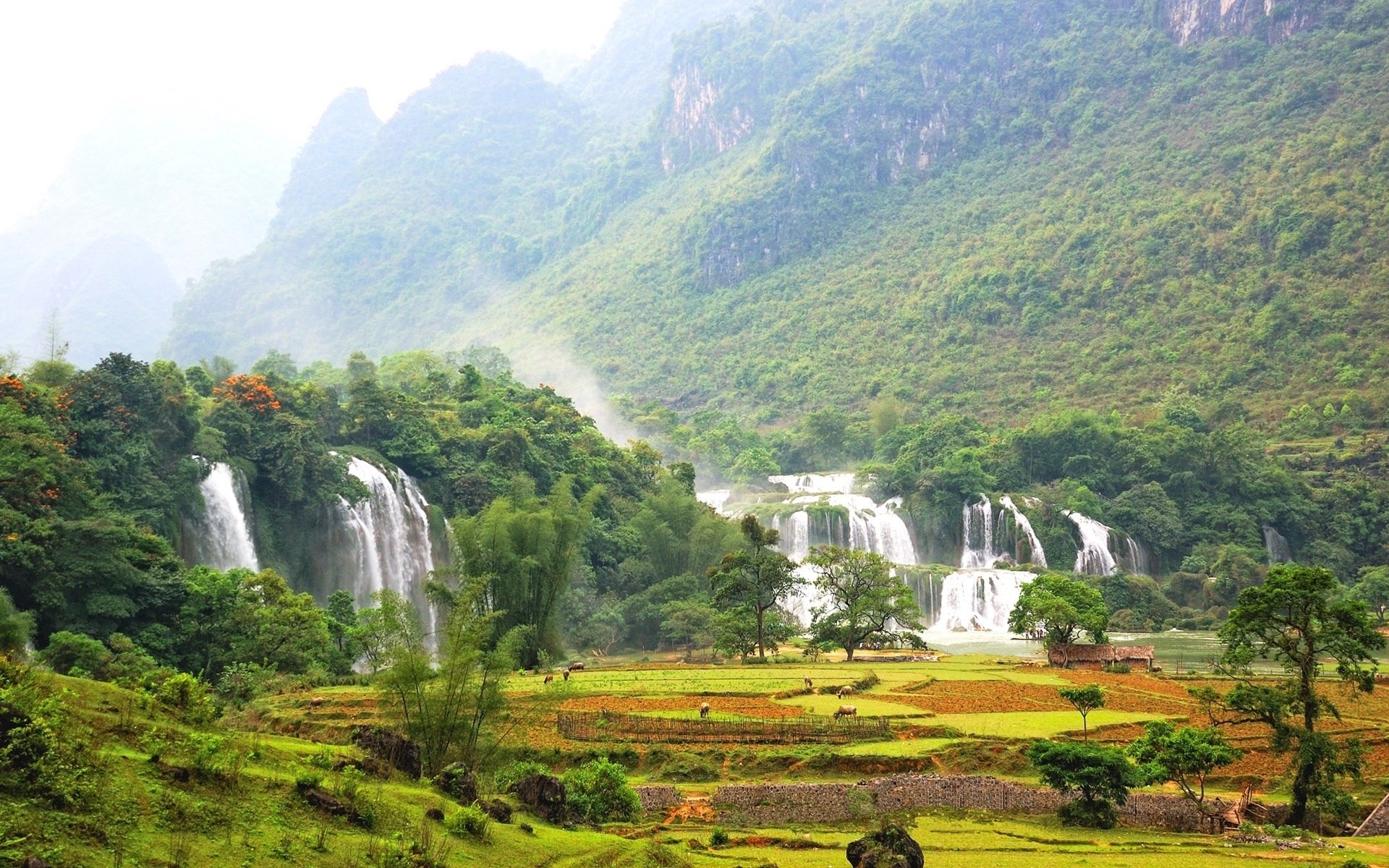 Ban Gioc Waterfall in Vietnam HD Wallpaper