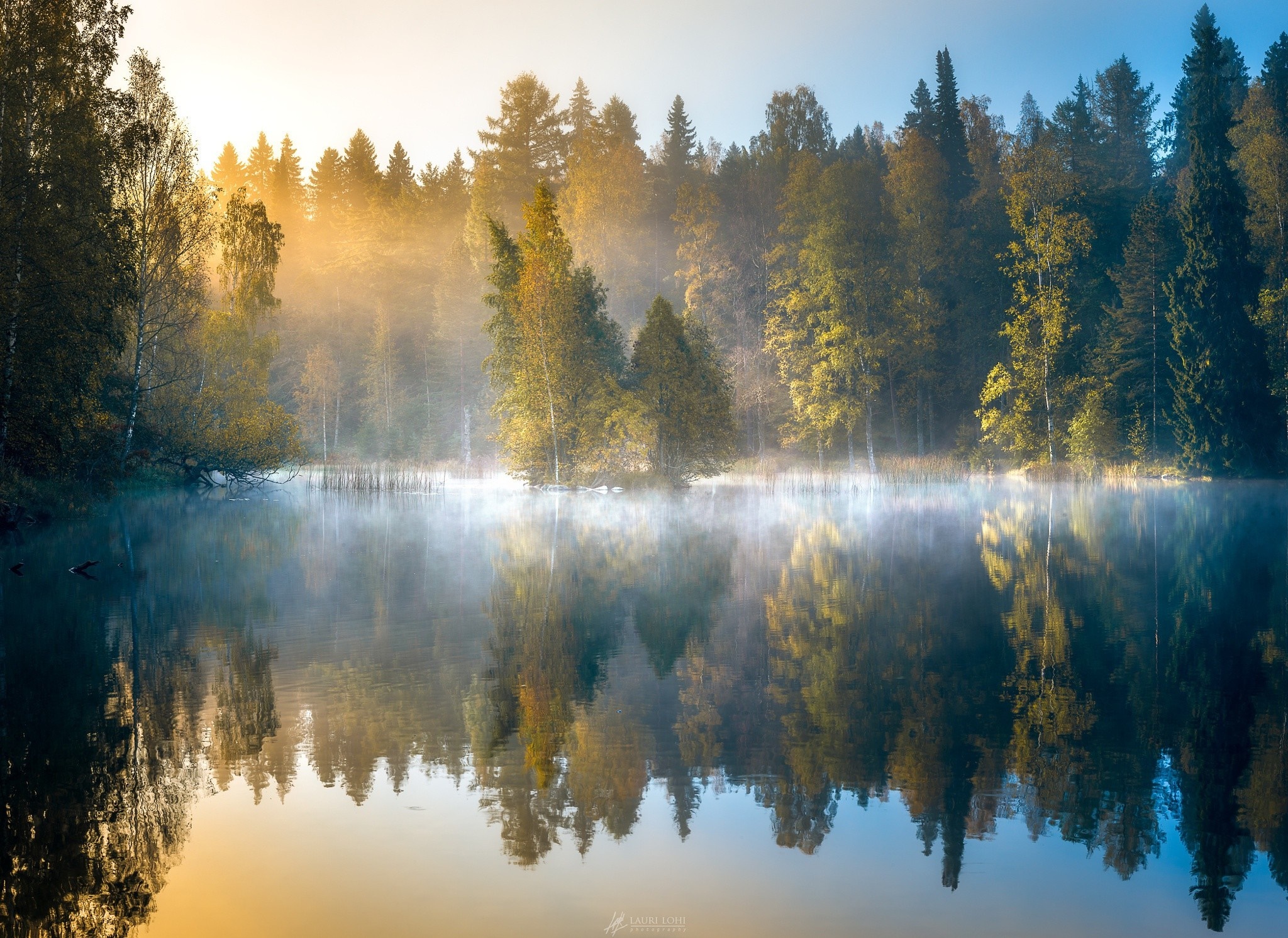 Misty forest lake reflection at sunrise in autumn HD Wallpaper