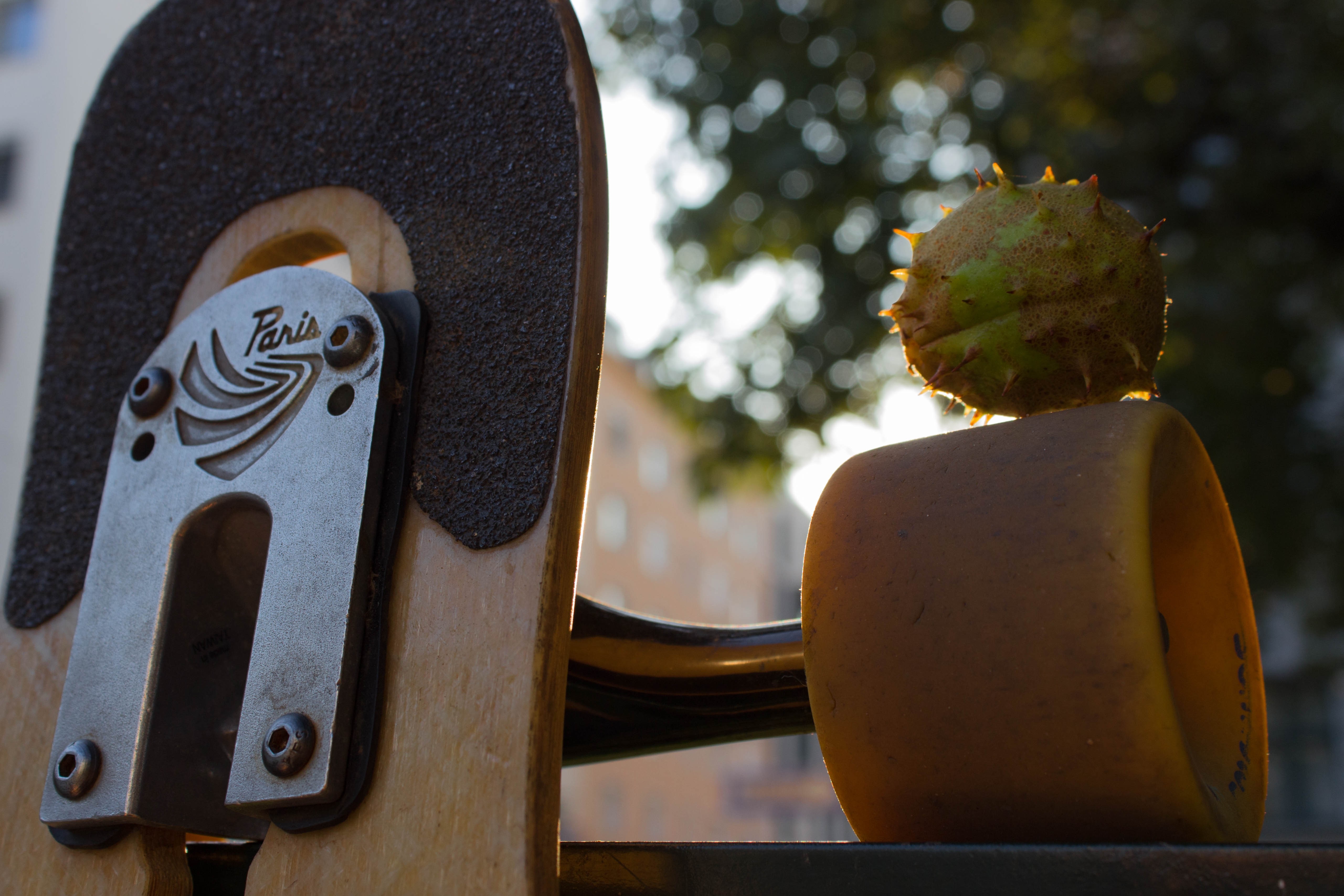 Close up of a Paris longboard truck with a chestnut on a wheel HD Wallpaper