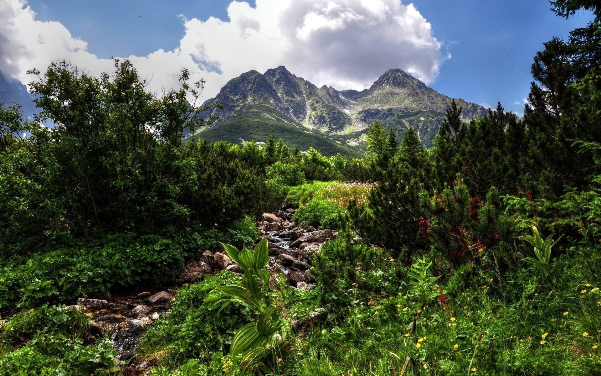 Mountain landscape with stream and trees HD Wallpaper